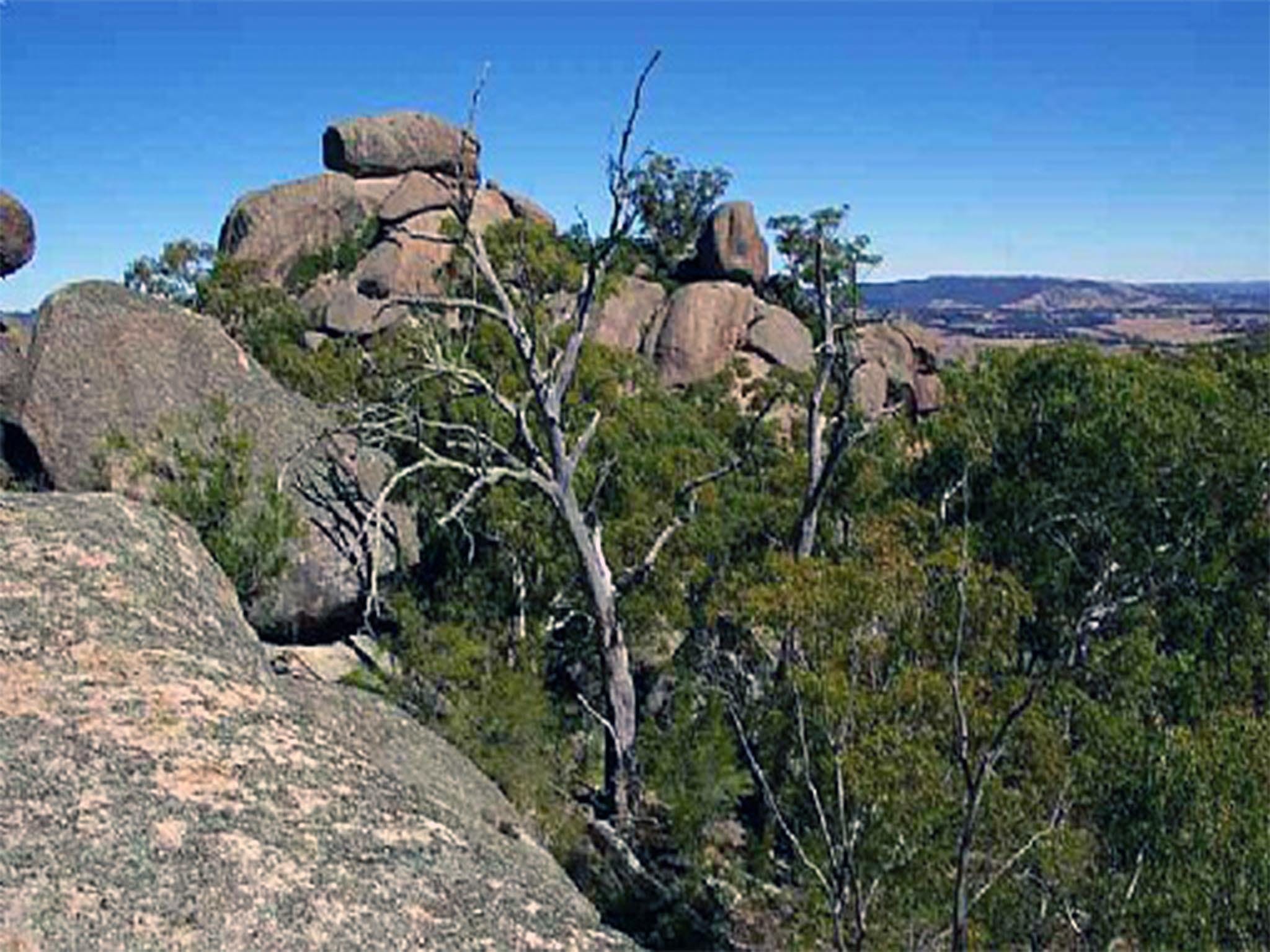 Evans Crown Nature Reserve - Goulburn Accommodation