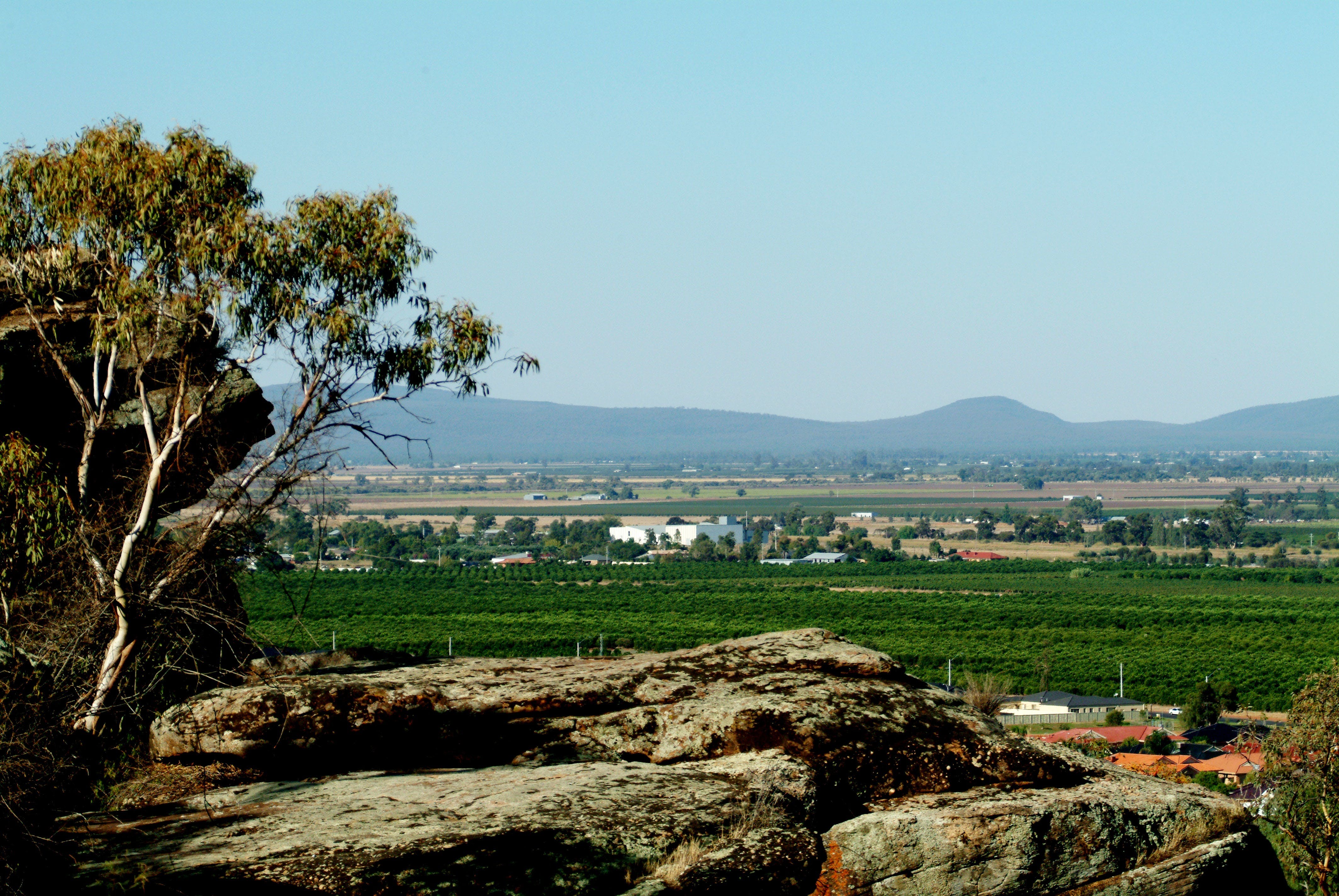 Hermit's Cave and Lookout - Wagga Wagga Accommodation