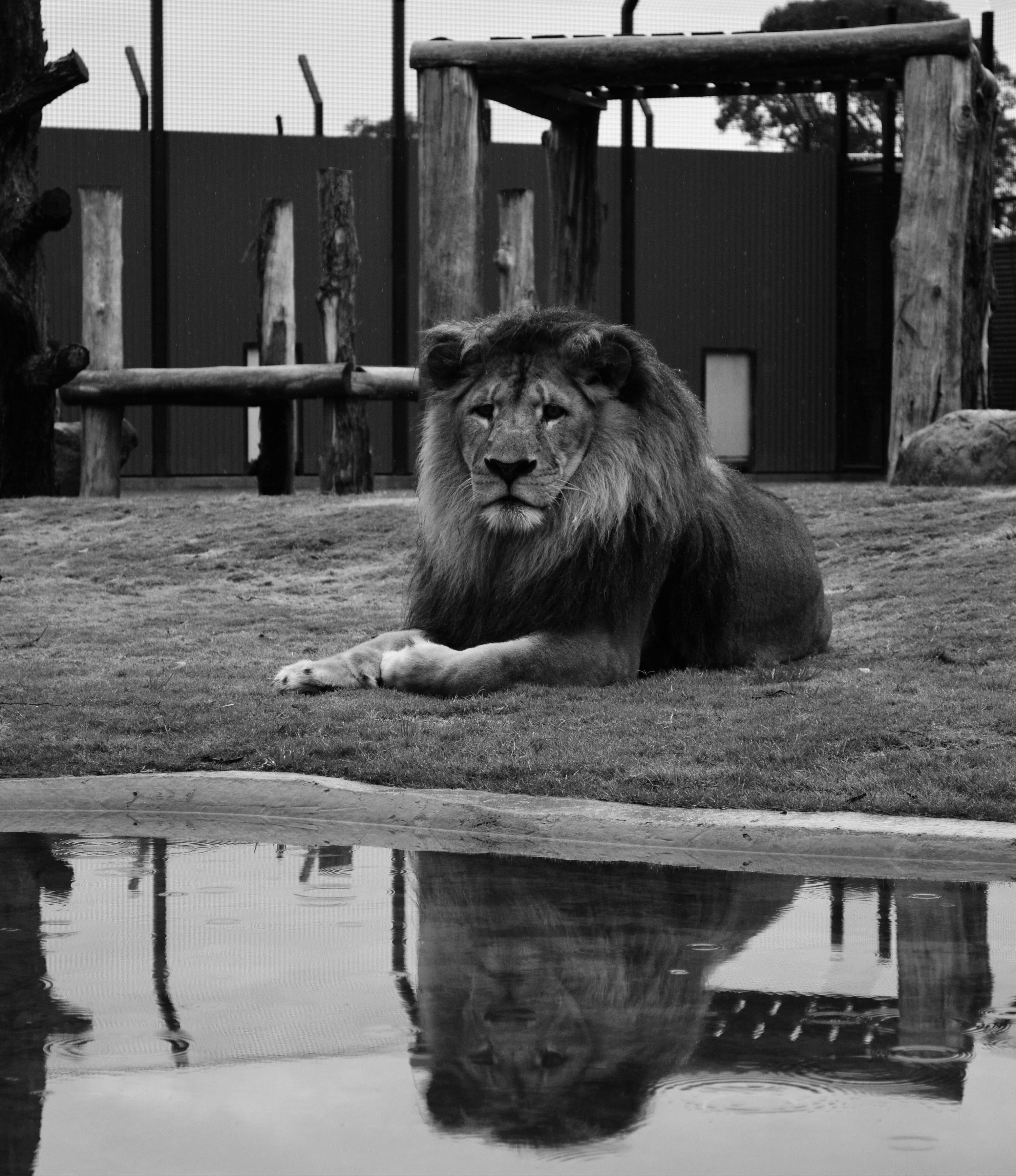Hunter Valley Zoo - Accommodation Broken Hill