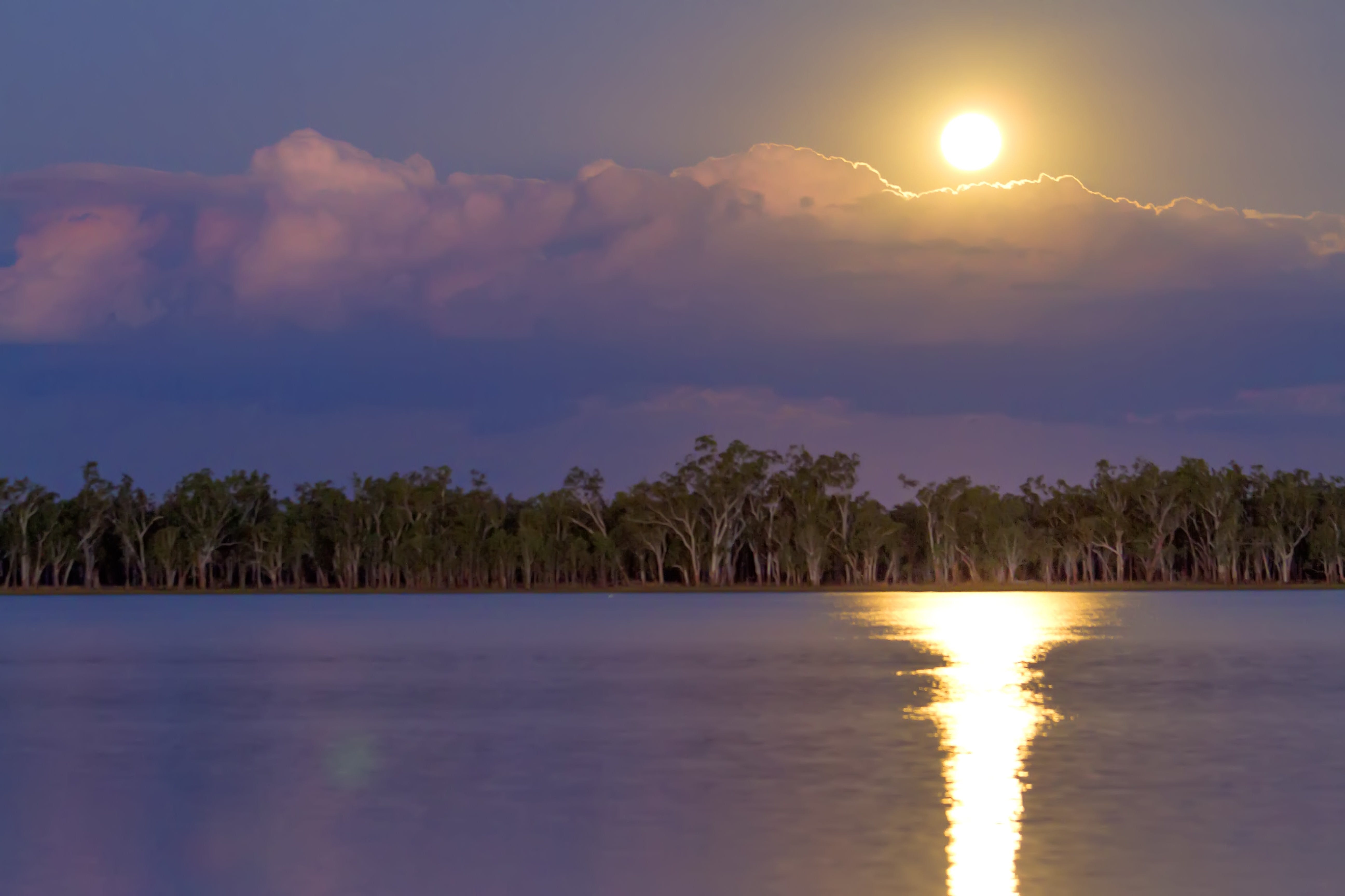 Lake Broadwater Conservation Park - Accommodation Adelaide