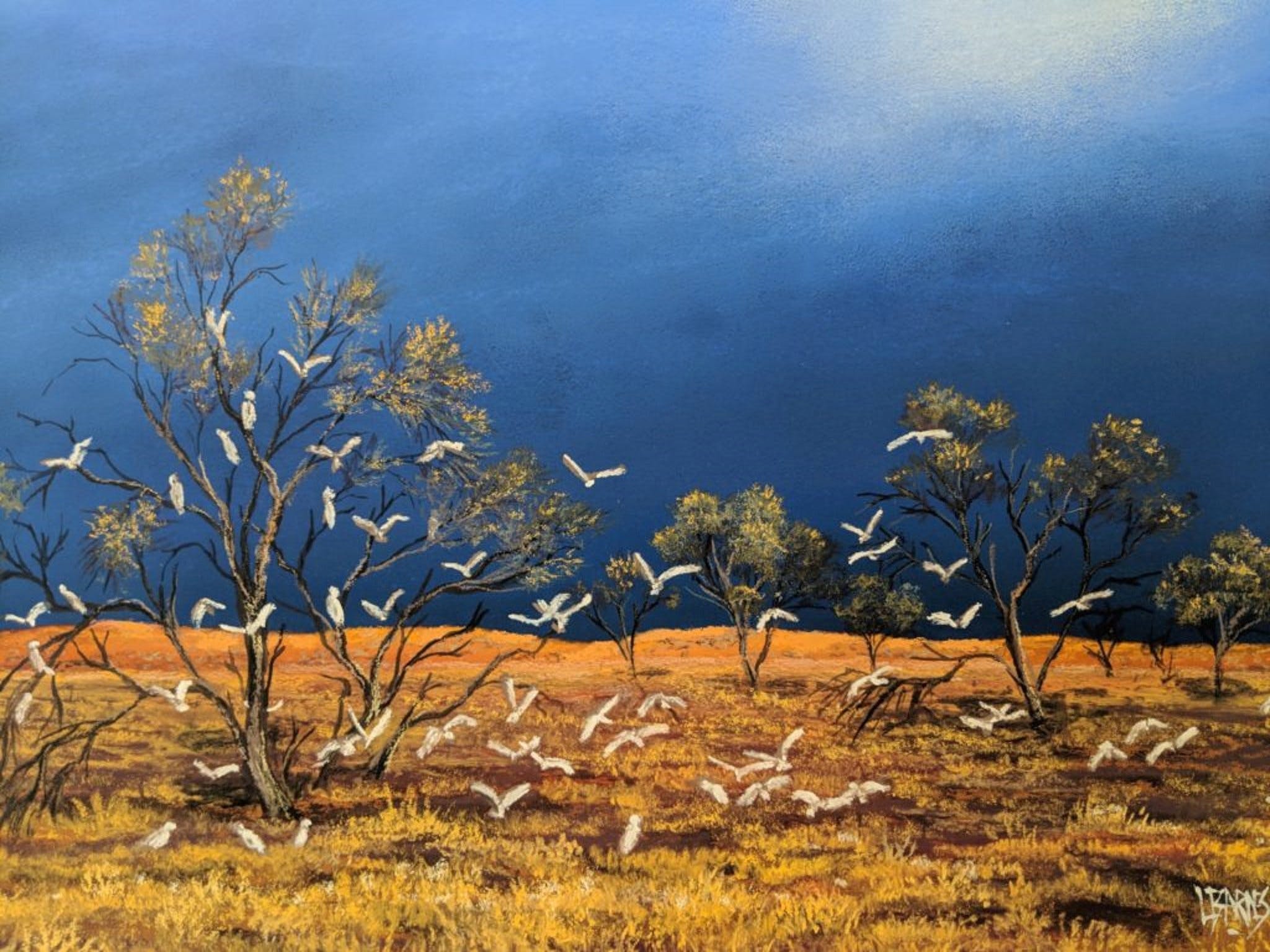 Lyn Barnes Gallery - Broome Tourism