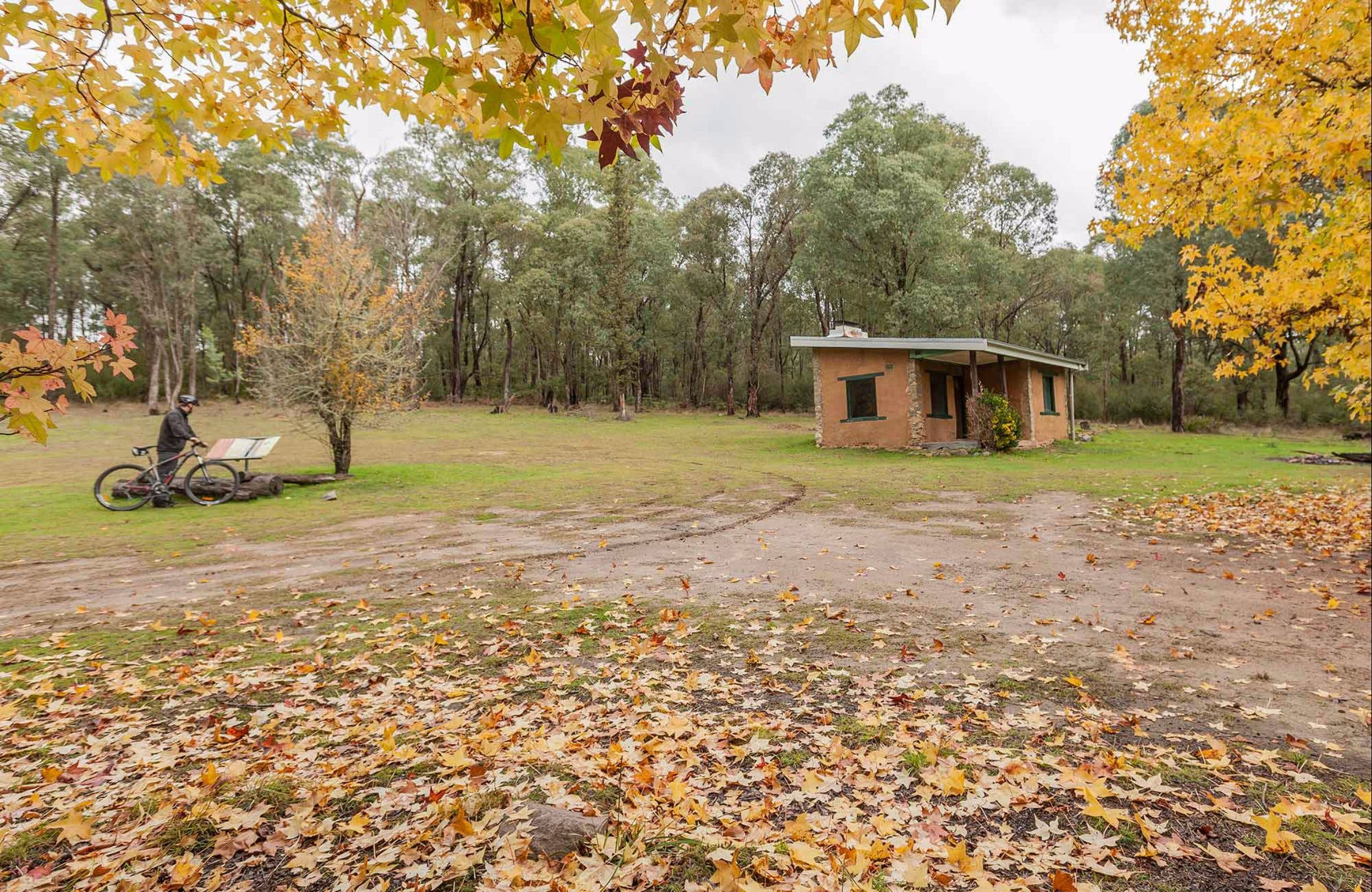 Major Clews Hut Walking Track - Attractions Melbourne