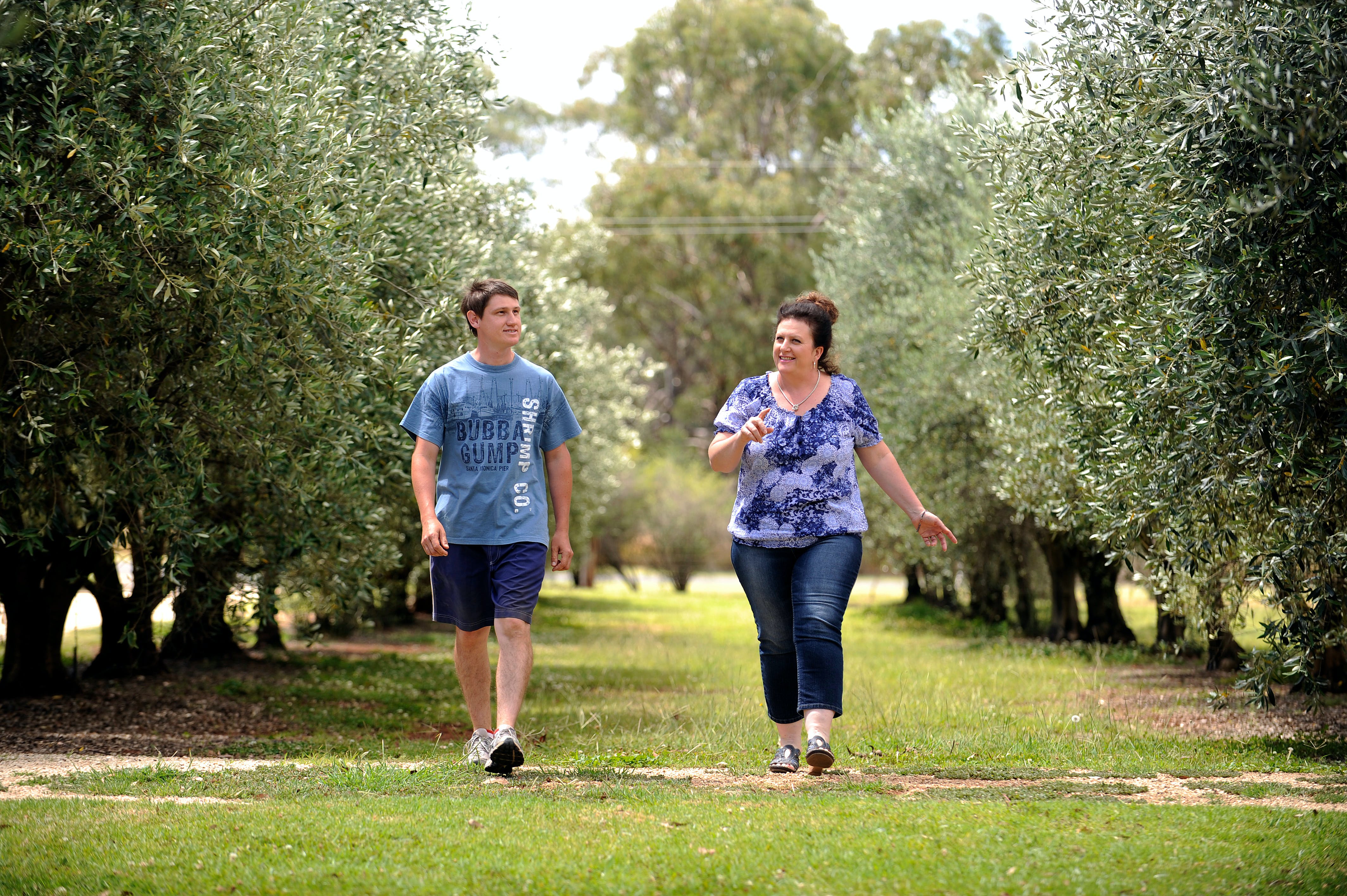 Olives of Beaulieu - Accommodation in Brisbane