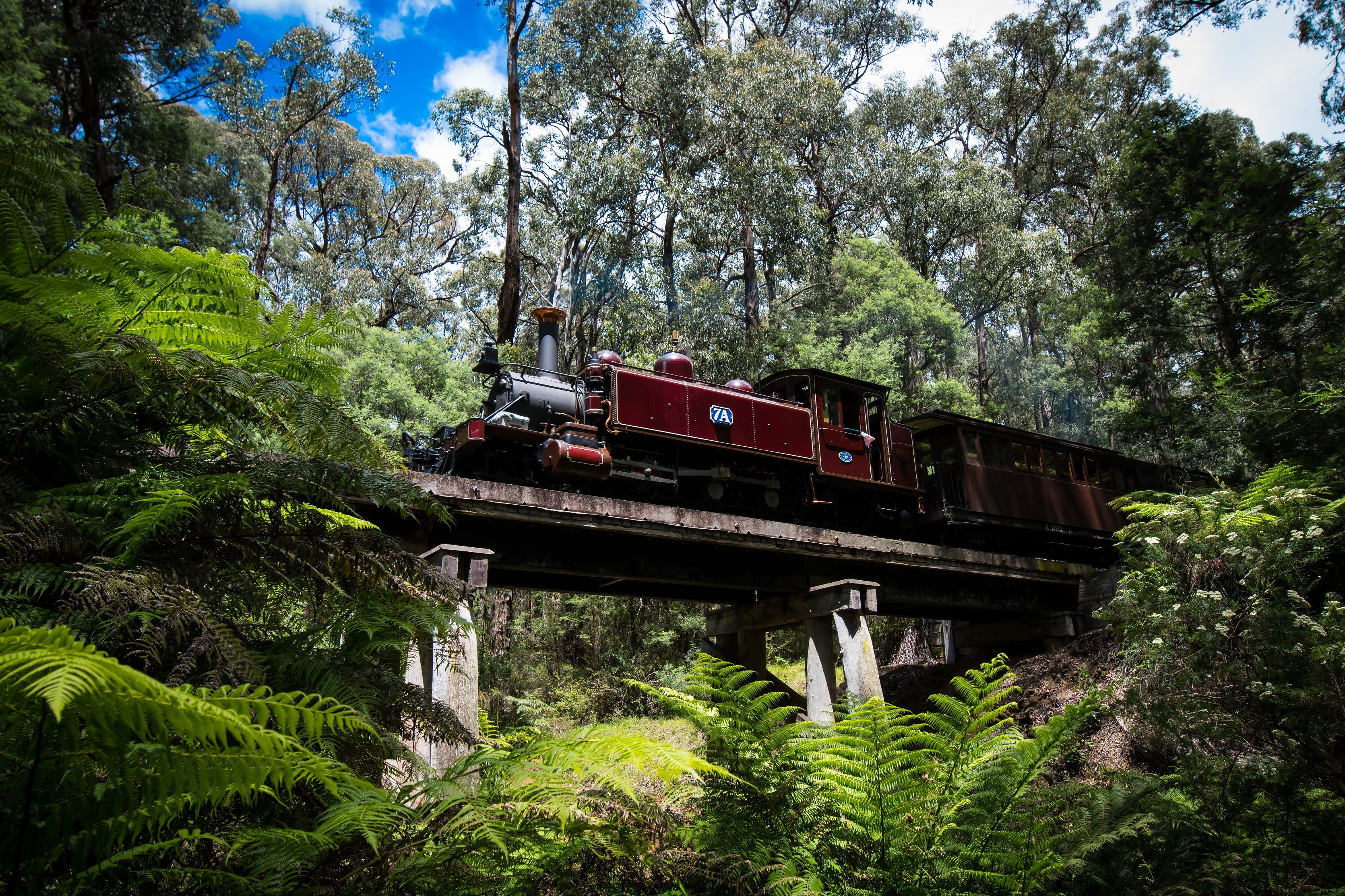 Puffing Billy Railway - thumb 0