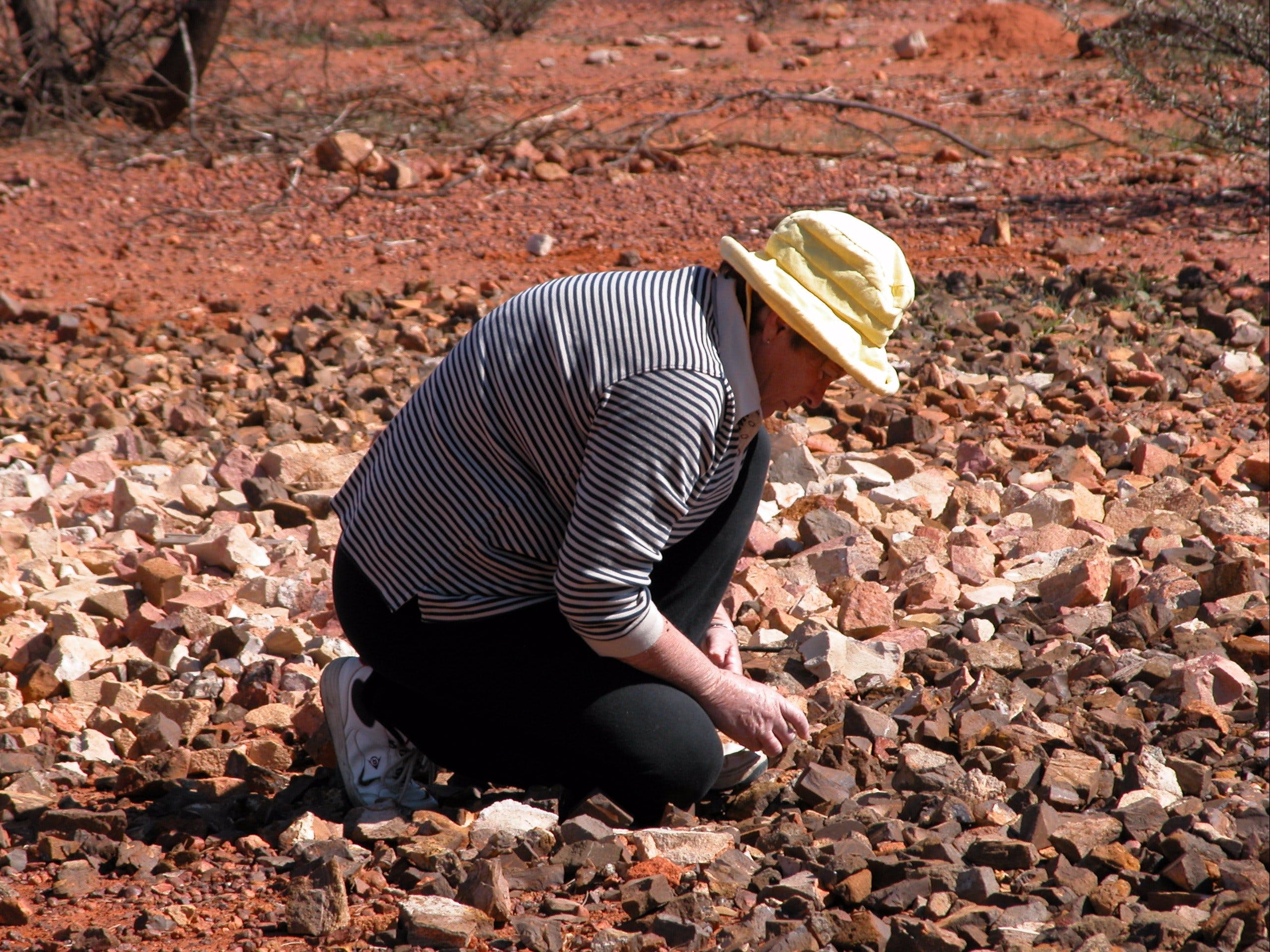 Quilpie Opal Fossicking - thumb 1