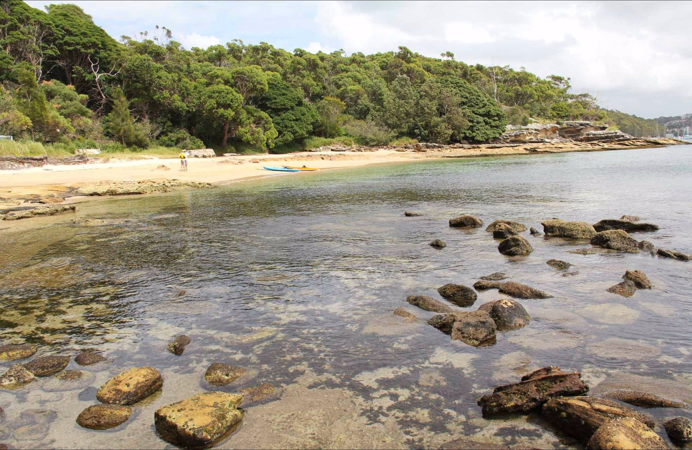 Reef Beach - New South Wales Tourism 