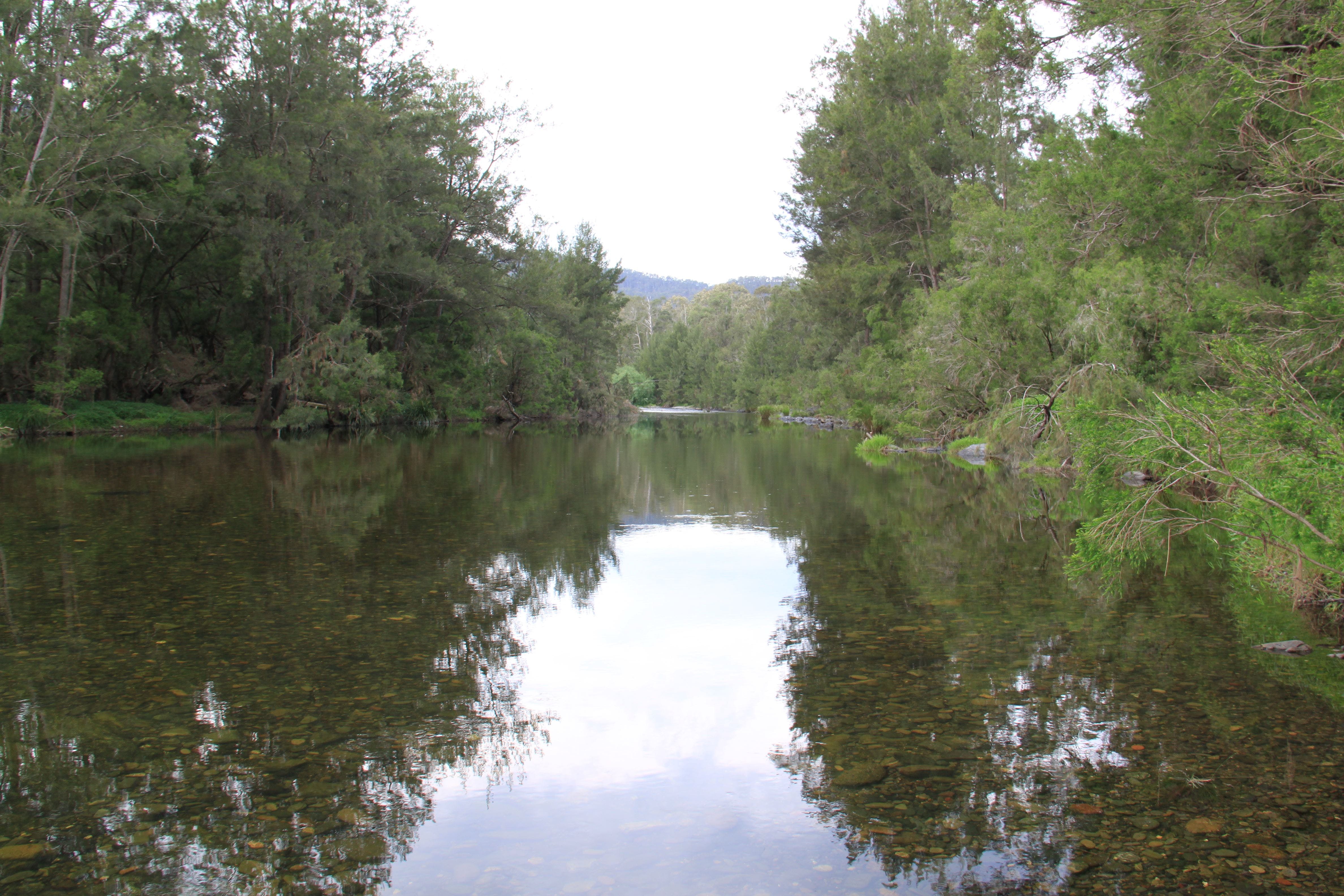 Riverside Campground and Picnic Area - Accommodation Adelaide