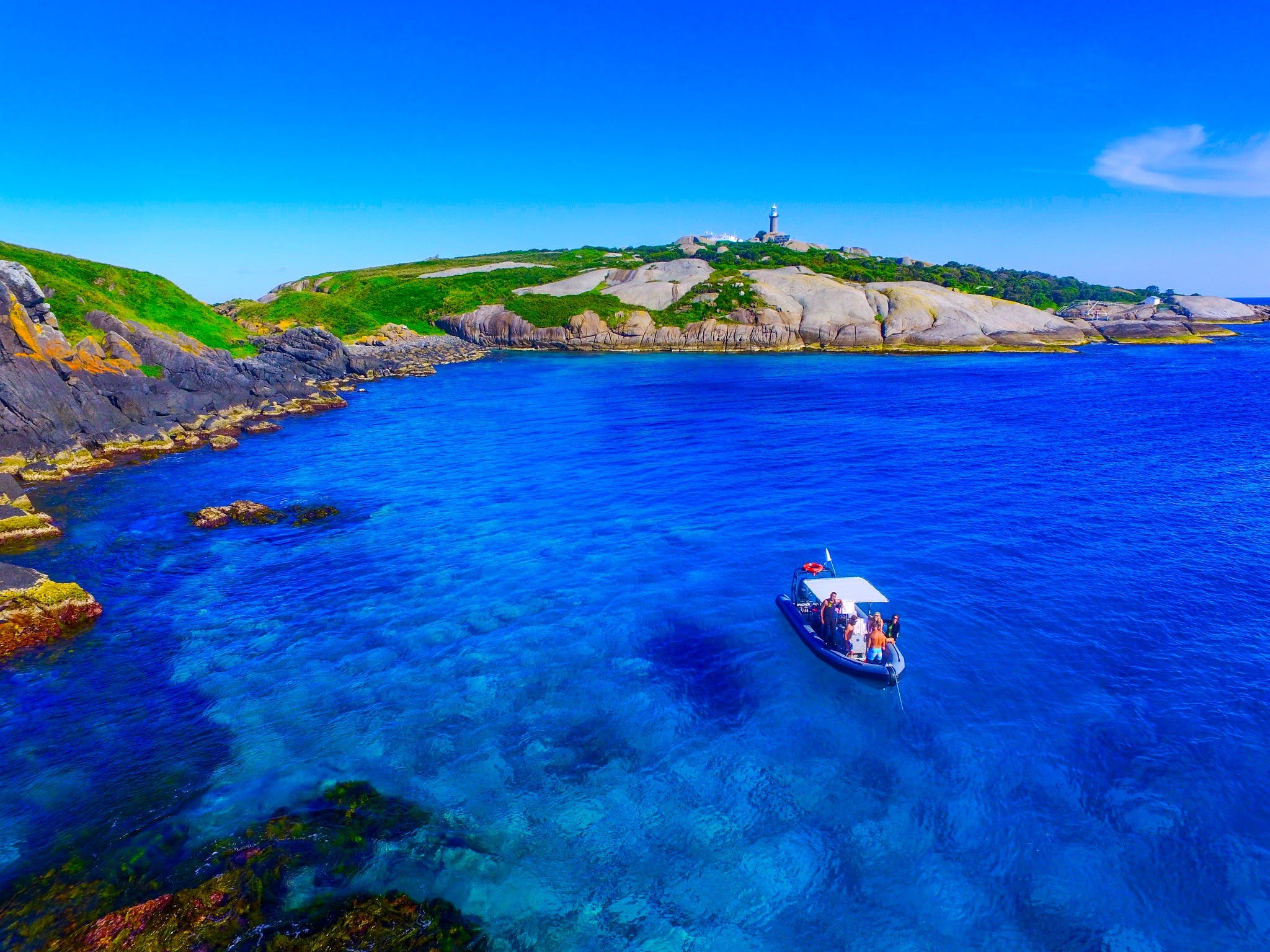 Snorkelling Montague Island - Accommodation Bookings