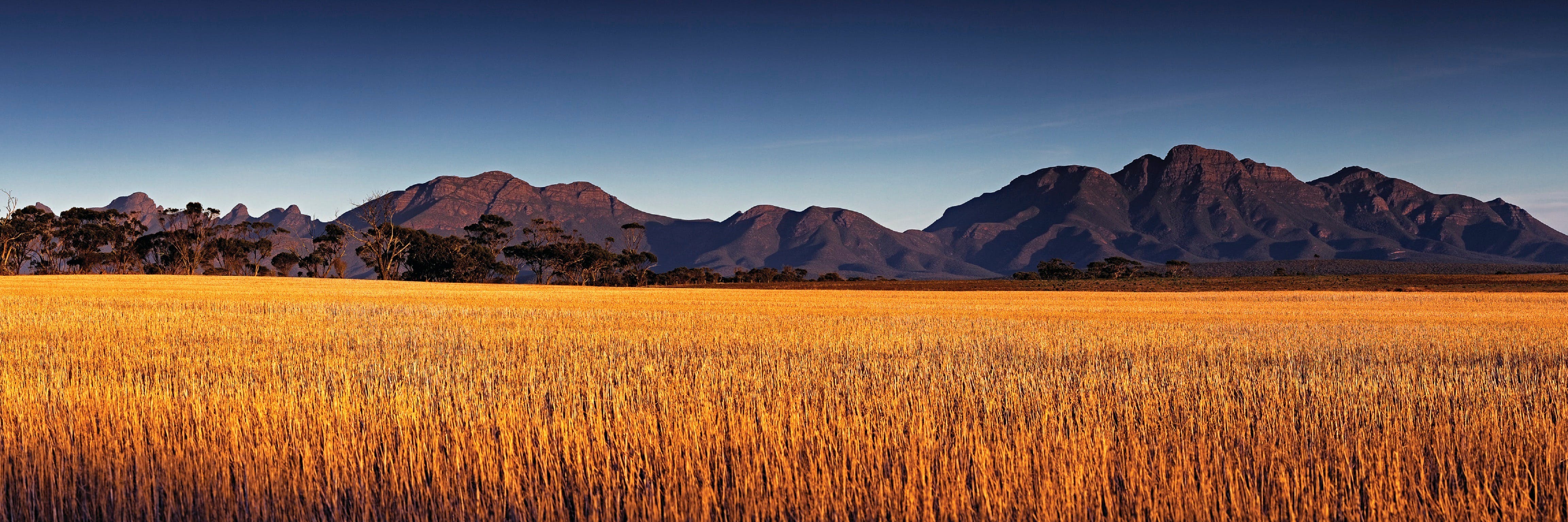 Southern Wonders Wildflower Trail - Accommodation Guide