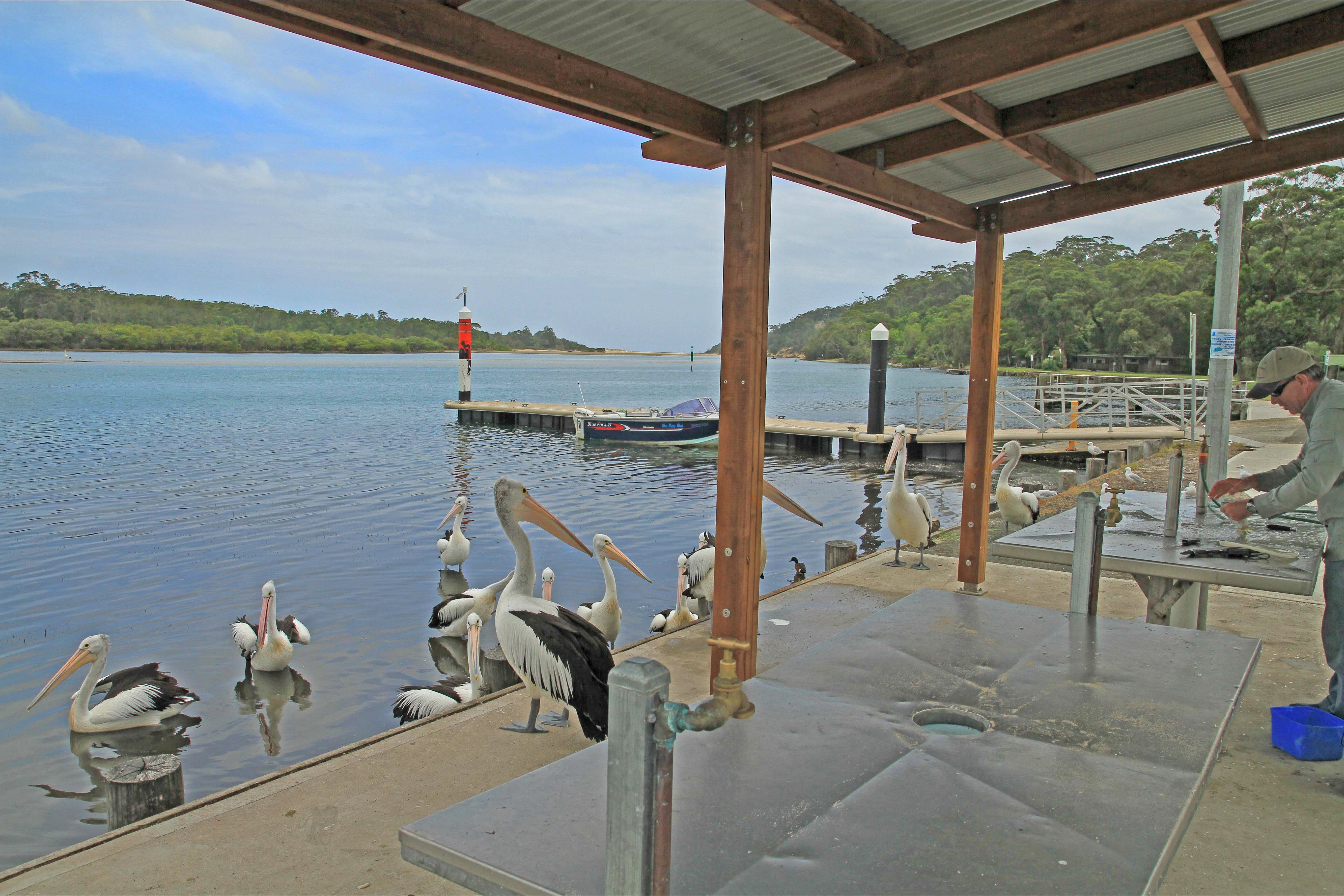 Sussex Inlet - Accommodation Main Beach