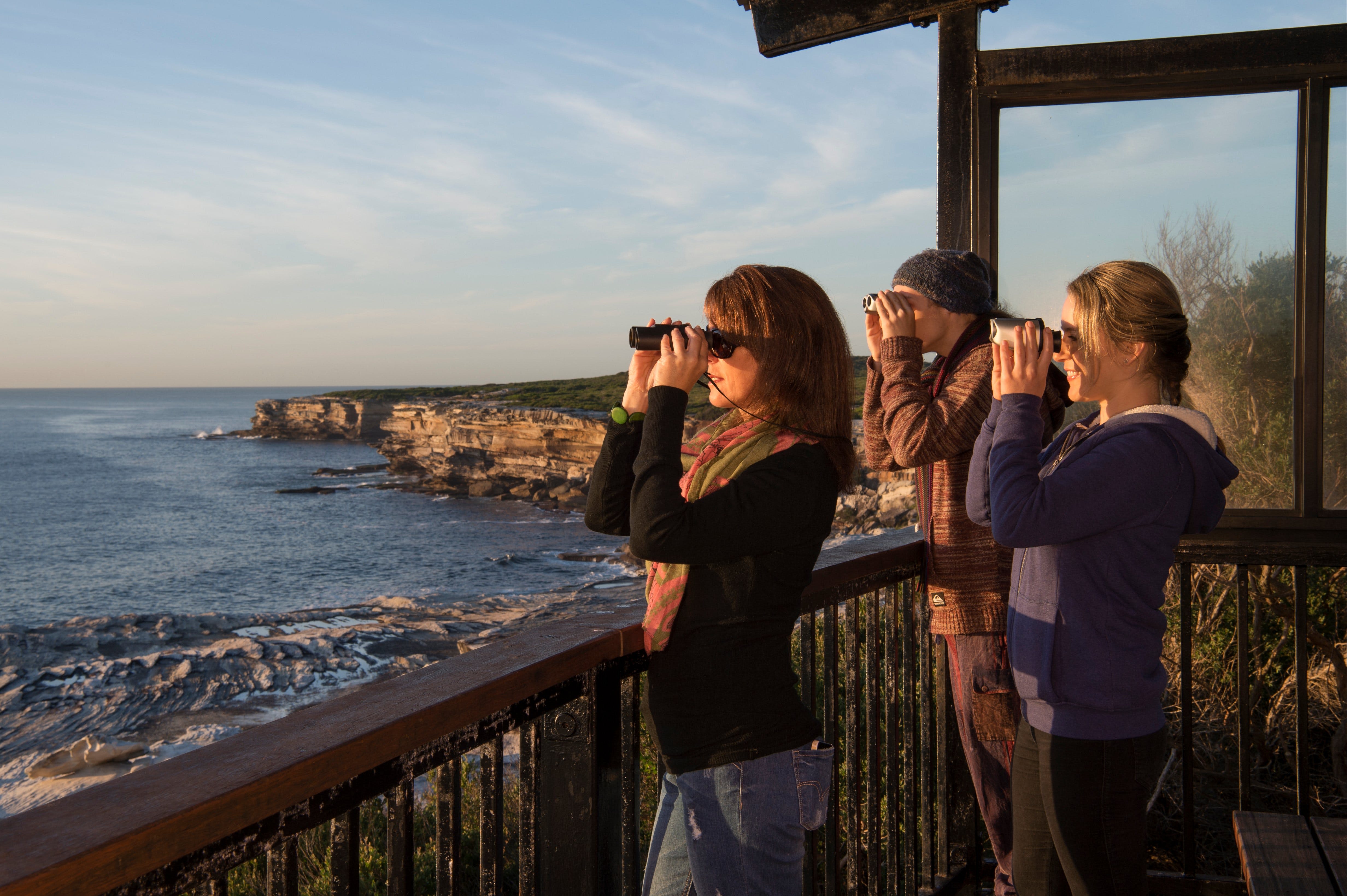 Sutherland Shire - Attractions Sydney