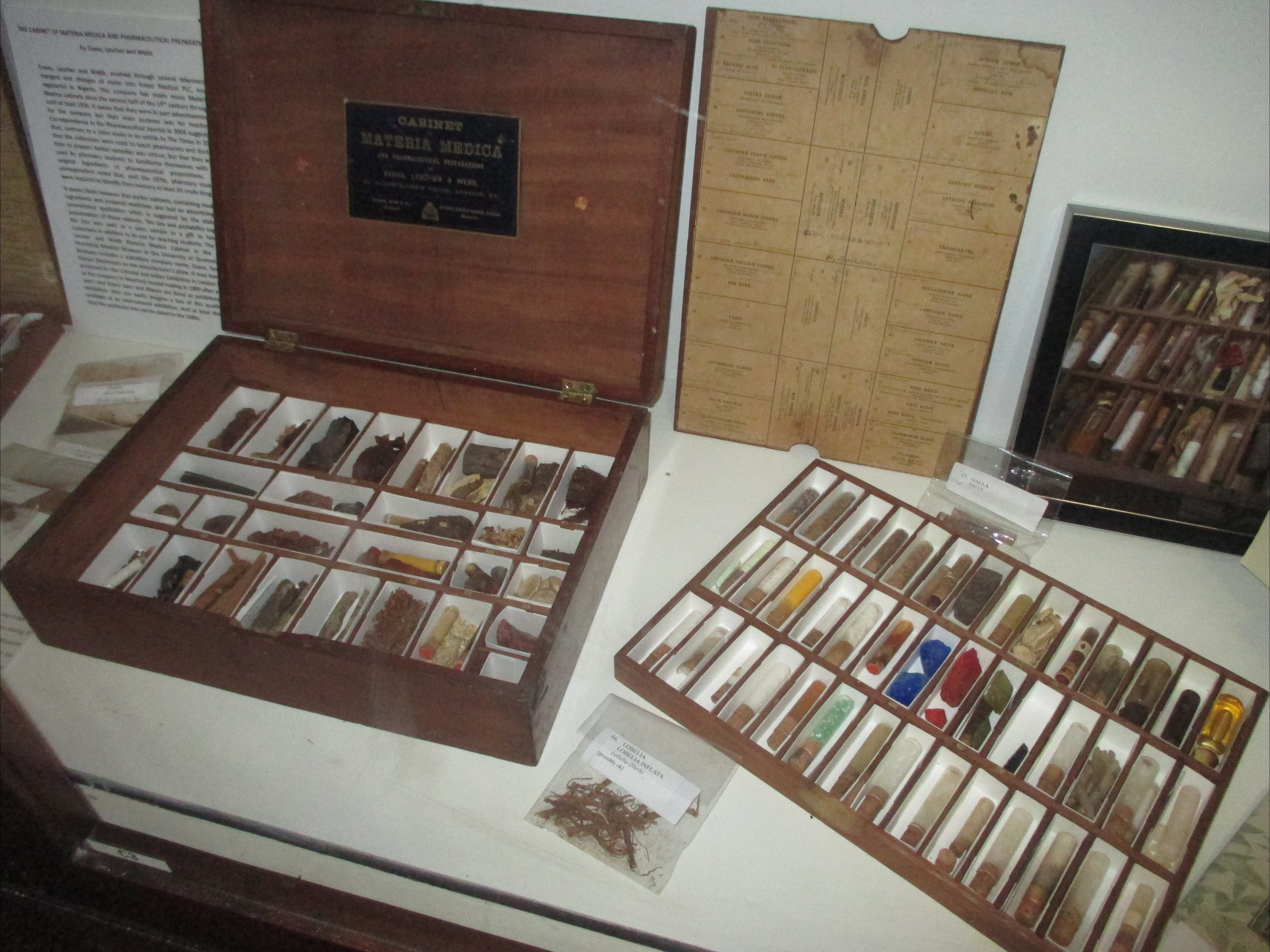UQ Marks-Hirschfeld Museum Of Medical History - thumb 0