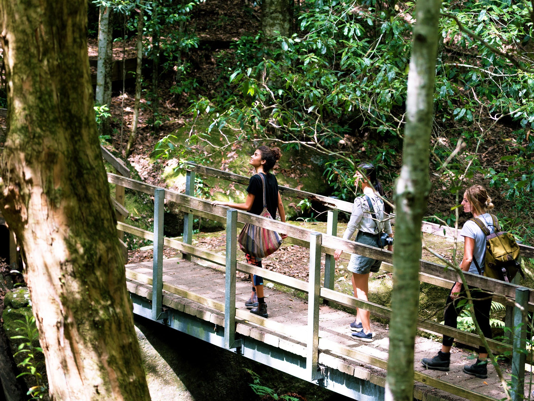 Watagans National Park - Attractions