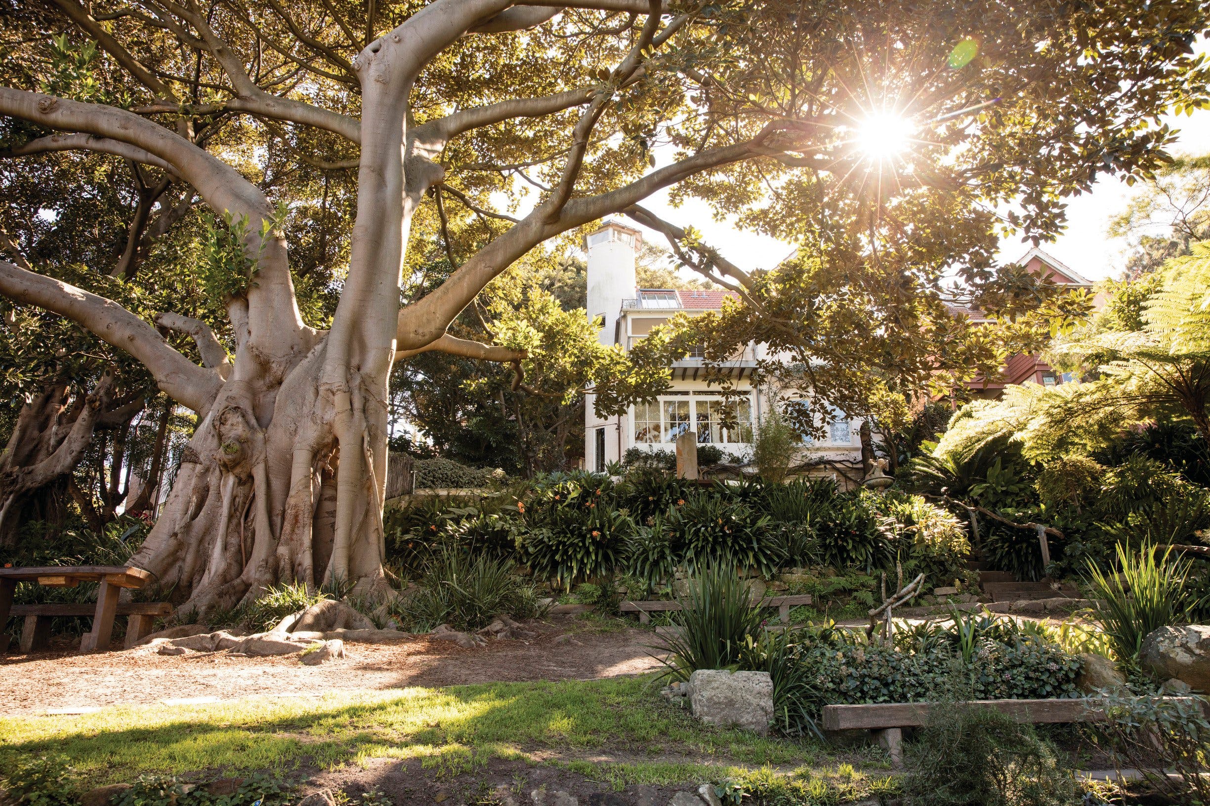 Wendy Whiteley's Secret Garden - Attractions Melbourne