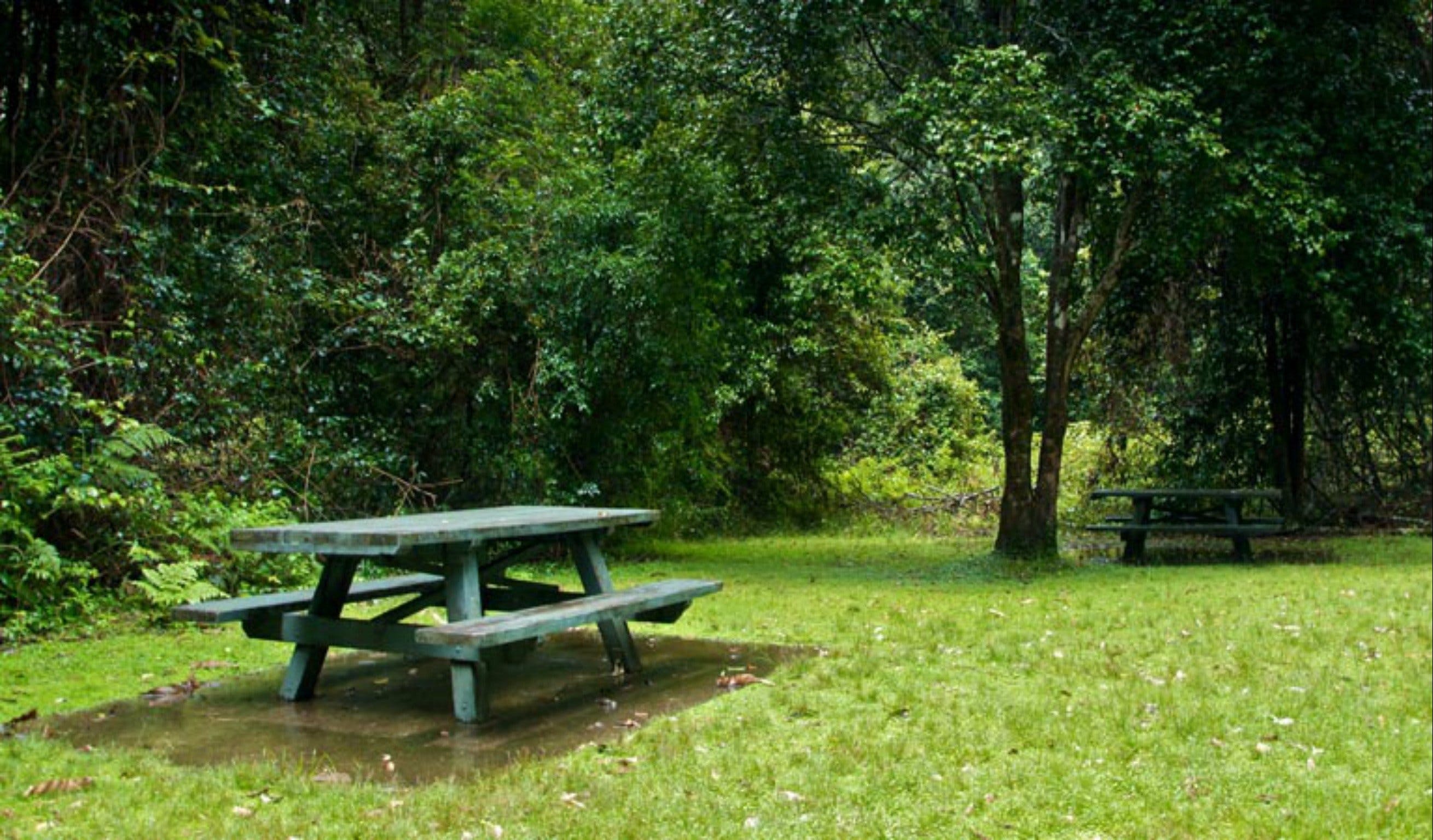 Williams River picnic area - Whitsundays Tourism
