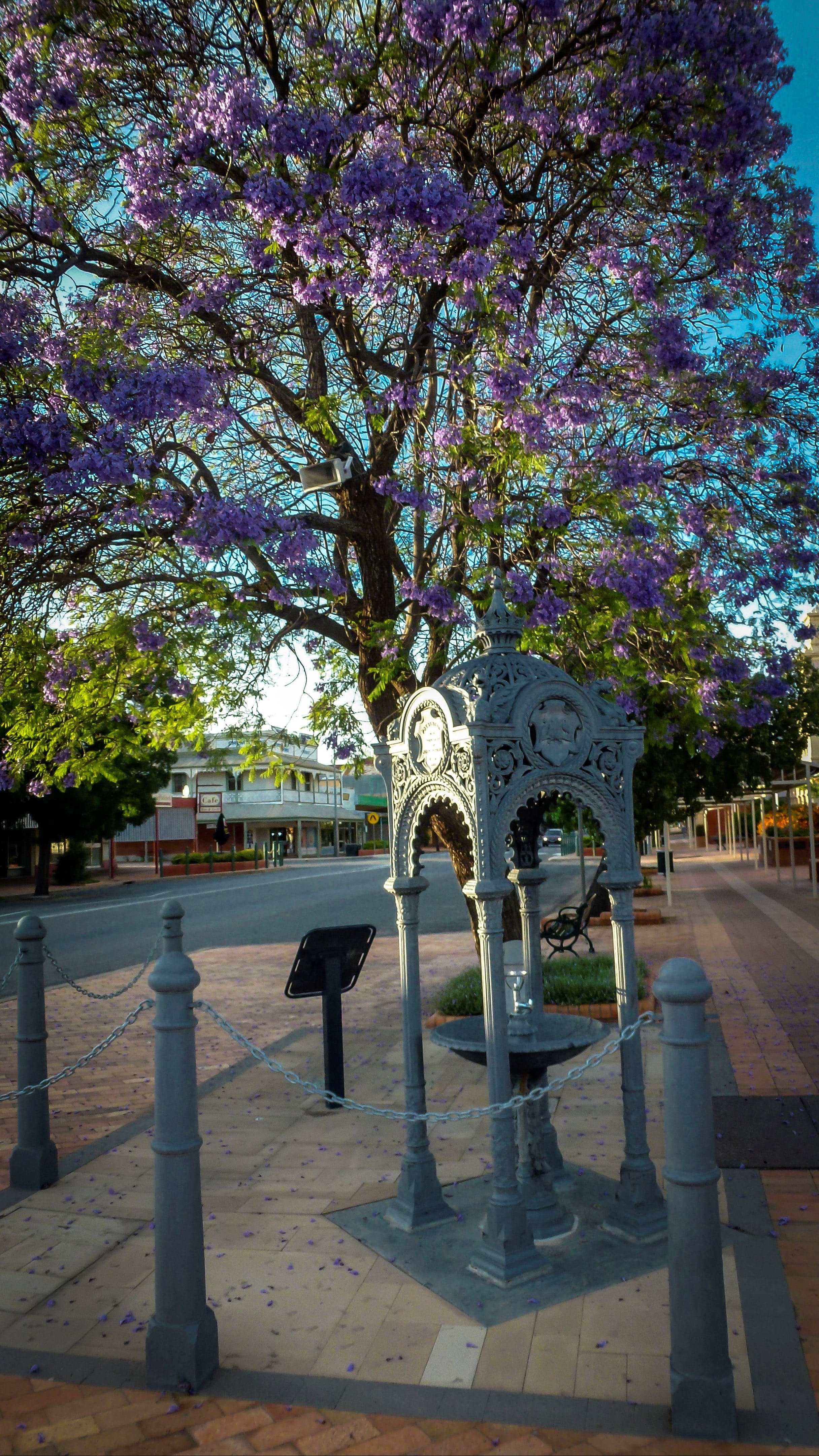 Witcombe Fountain - New South Wales Tourism 