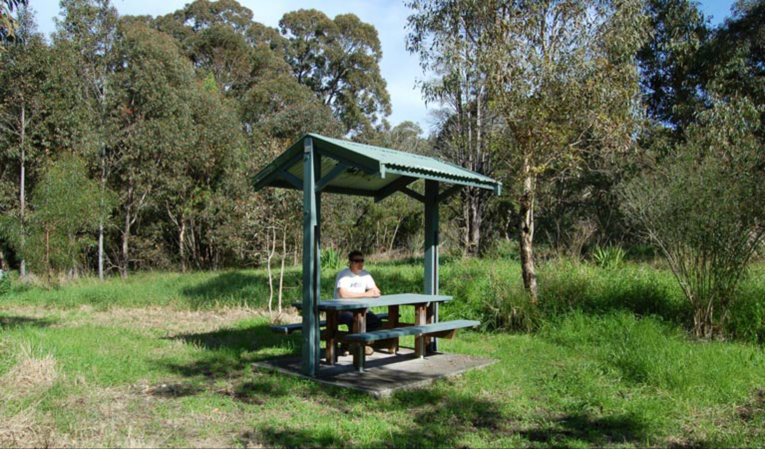Alexanders picnic area - New South Wales Tourism 