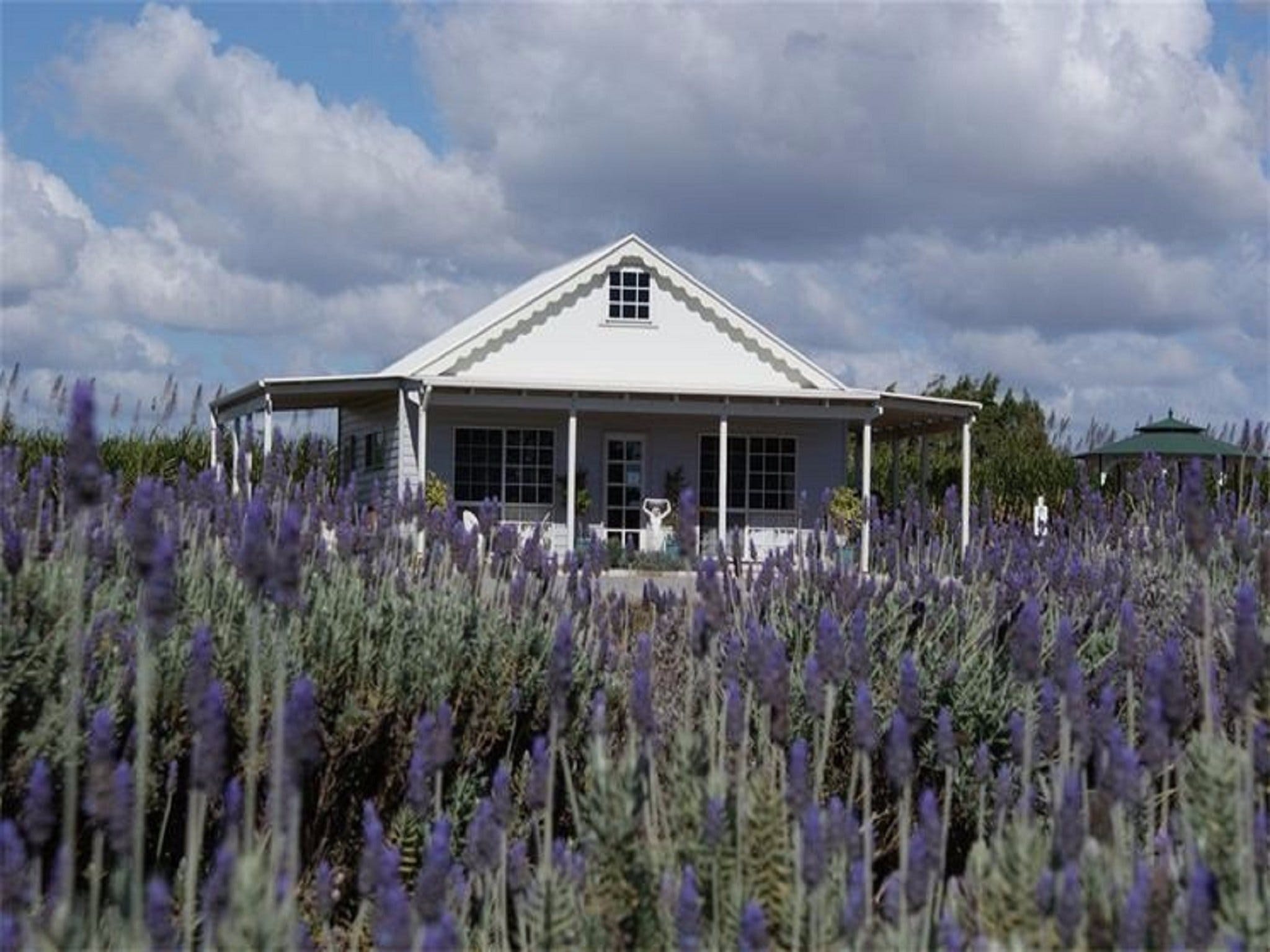 Amandine Lavender - Accommodation Nelson Bay