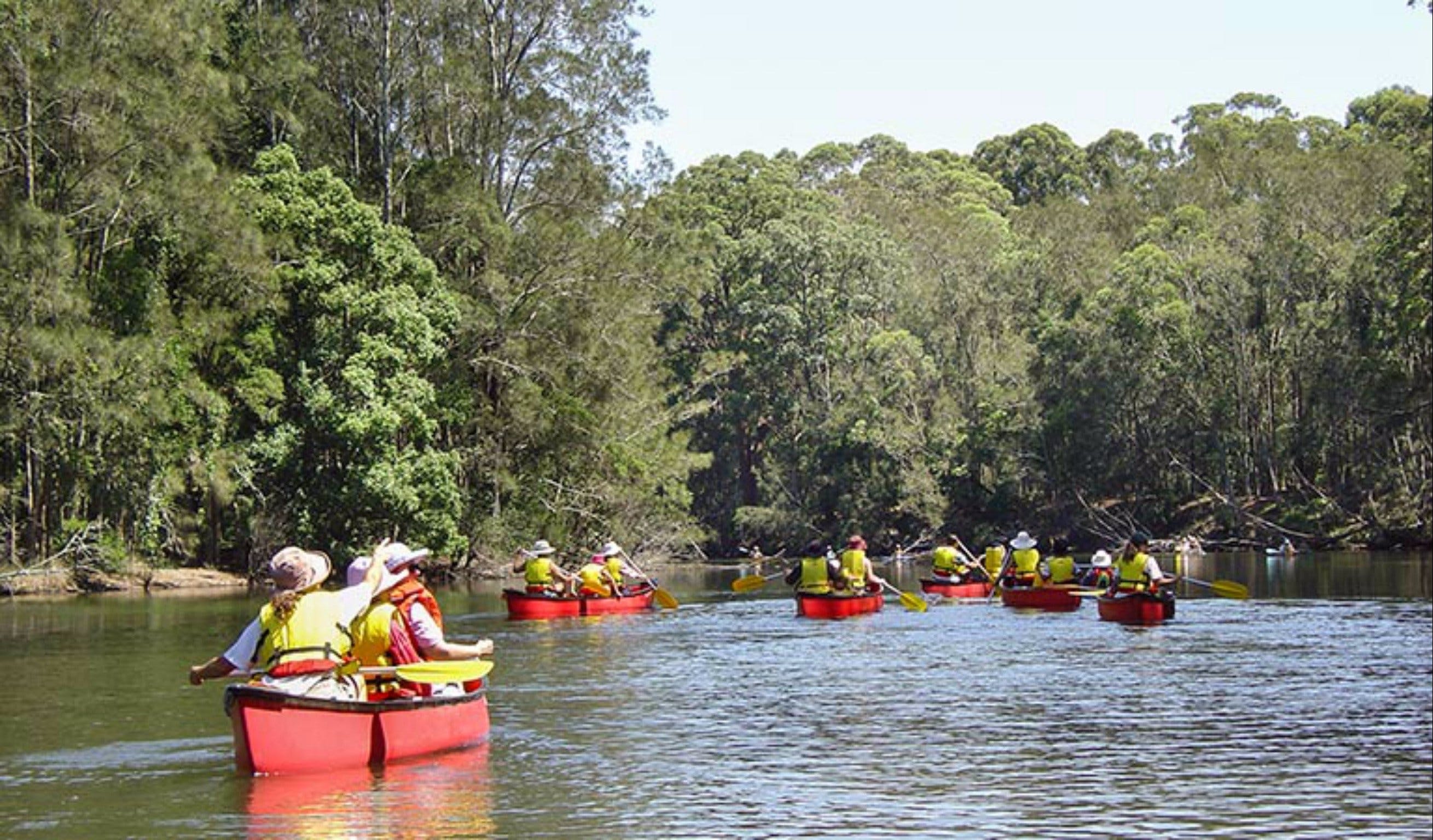 Bonville Creek - Tourism Cairns