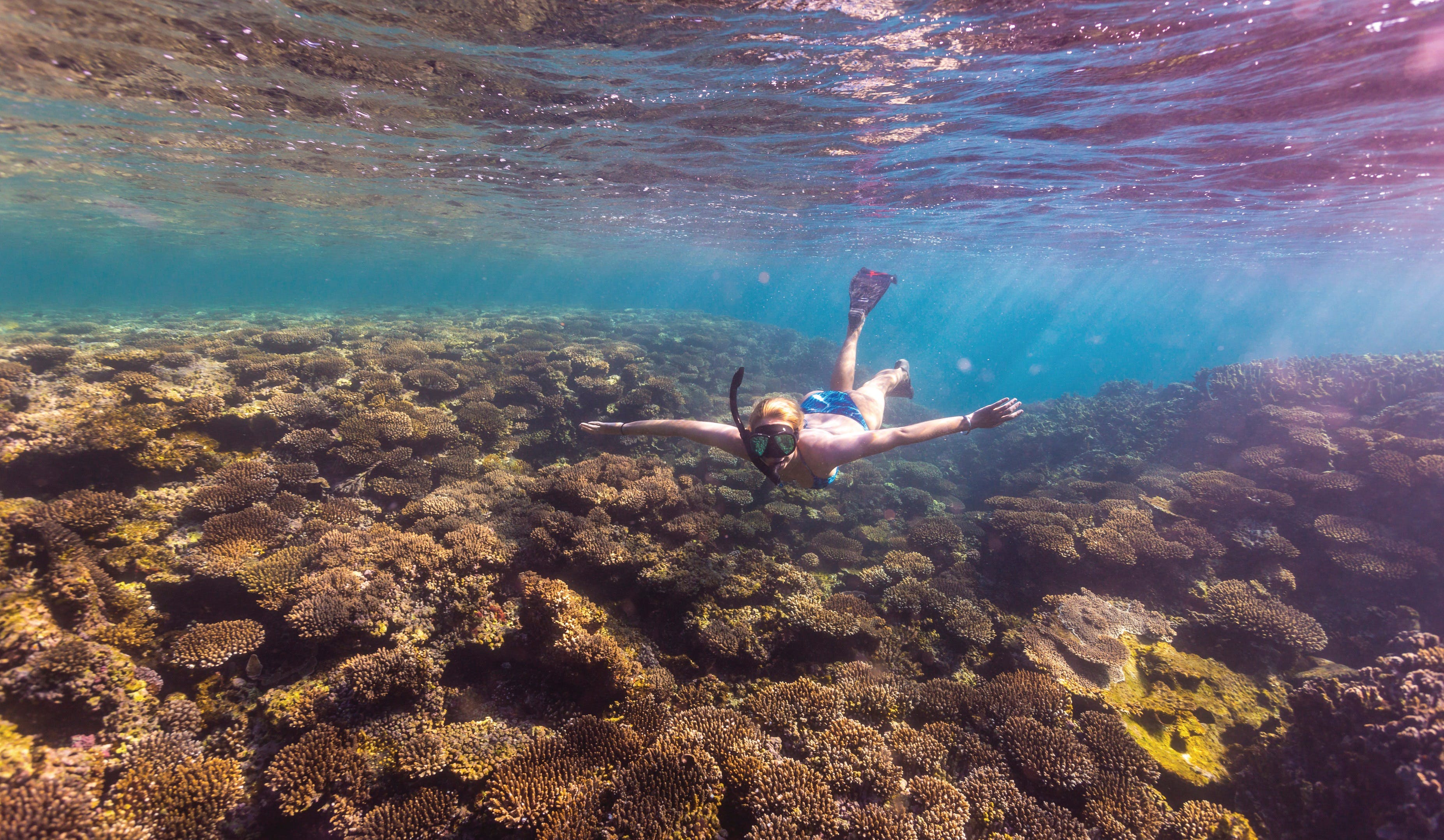 Complete Ningaloo Reef Experience - thumb 1