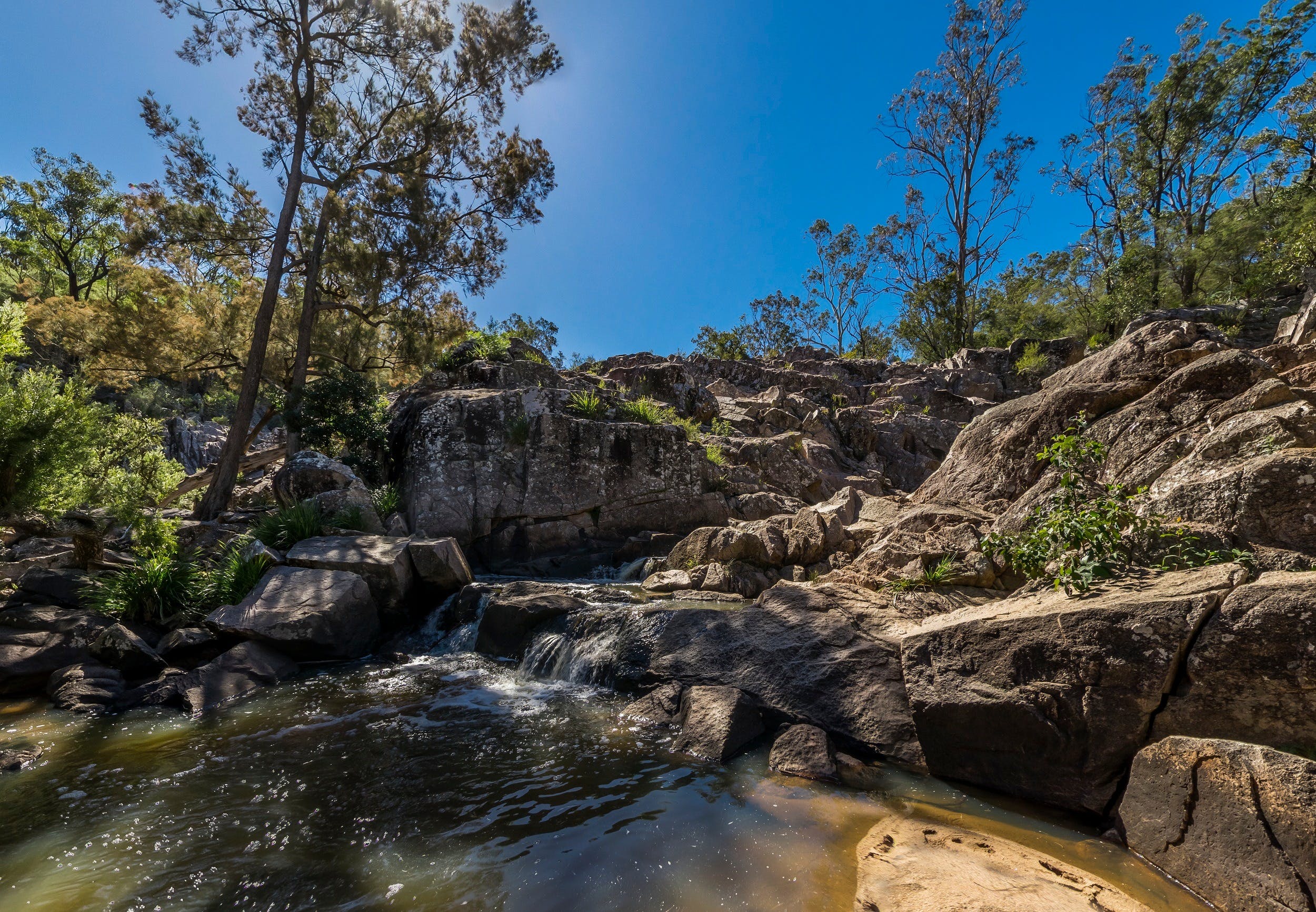 Crows Nest National Park - thumb 1