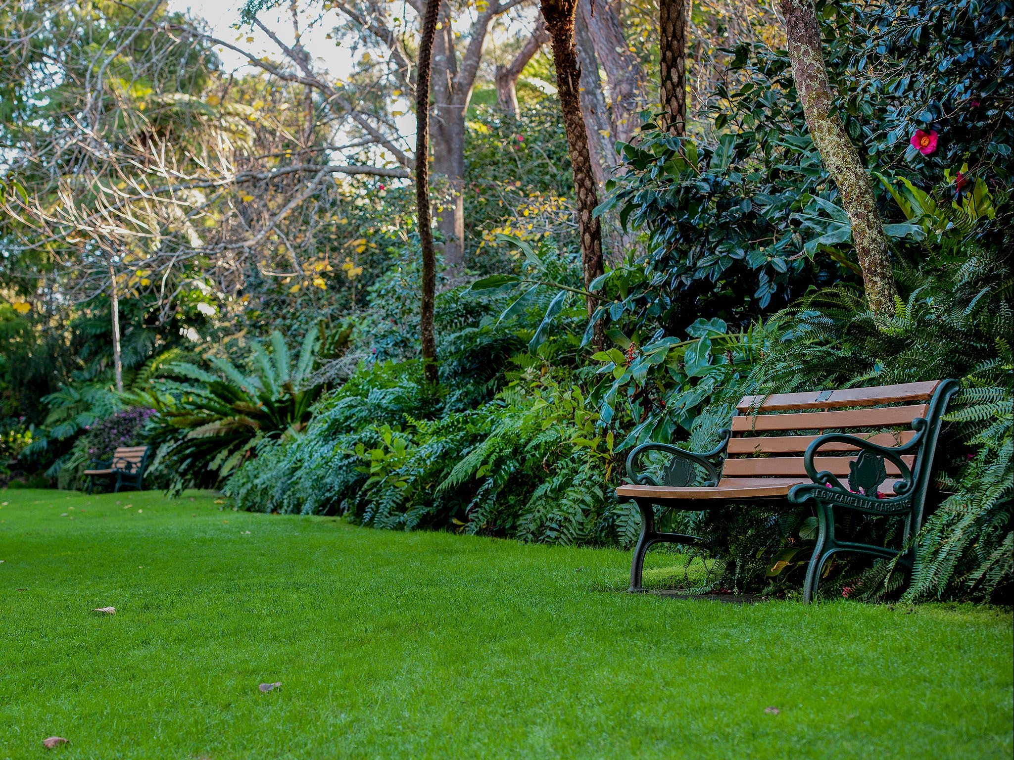 EG Waterhouse National Camellia Gardens - Attractions Melbourne