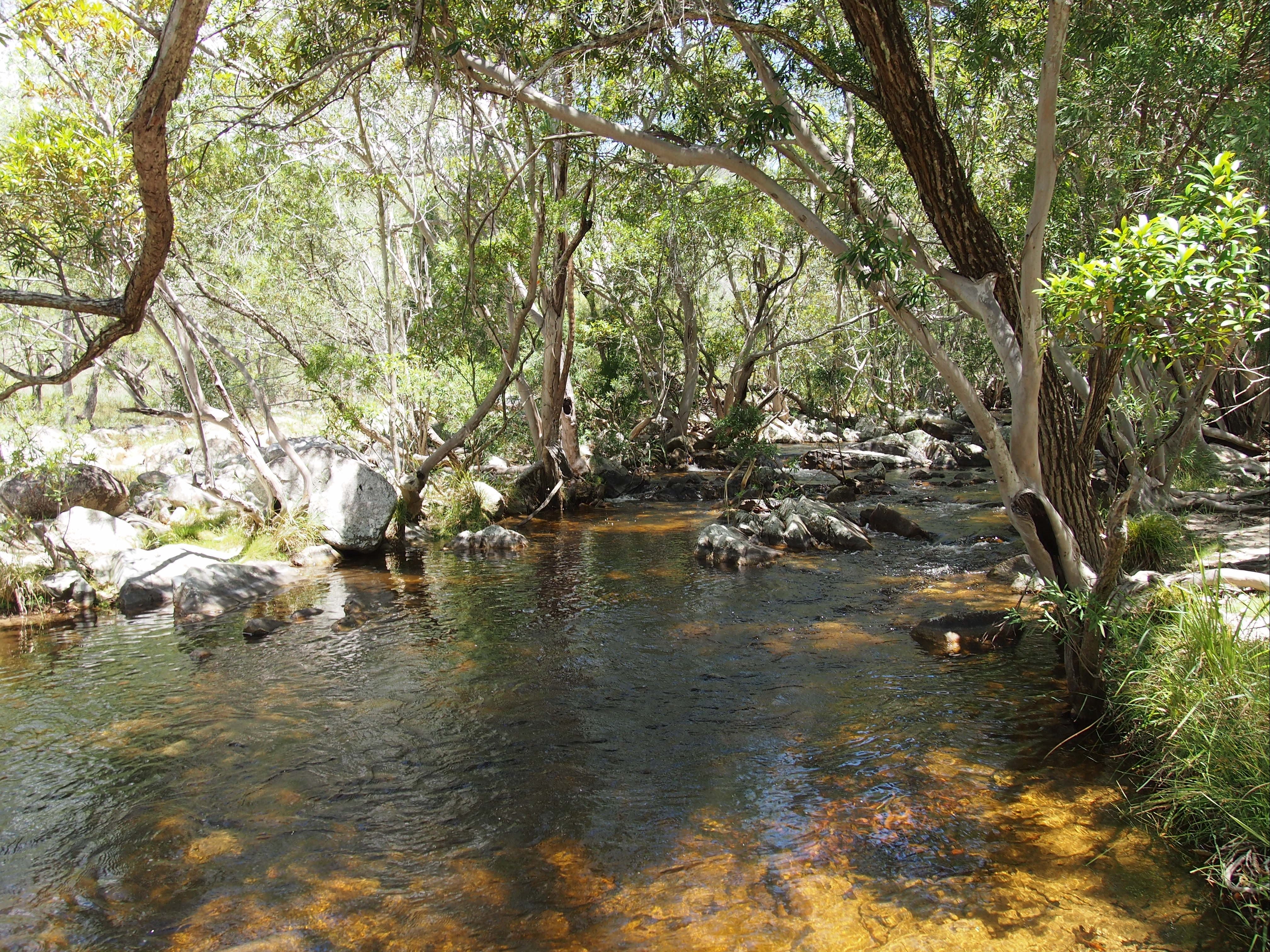 Emerald Creek, Dinden West Forest Reserve - thumb 1