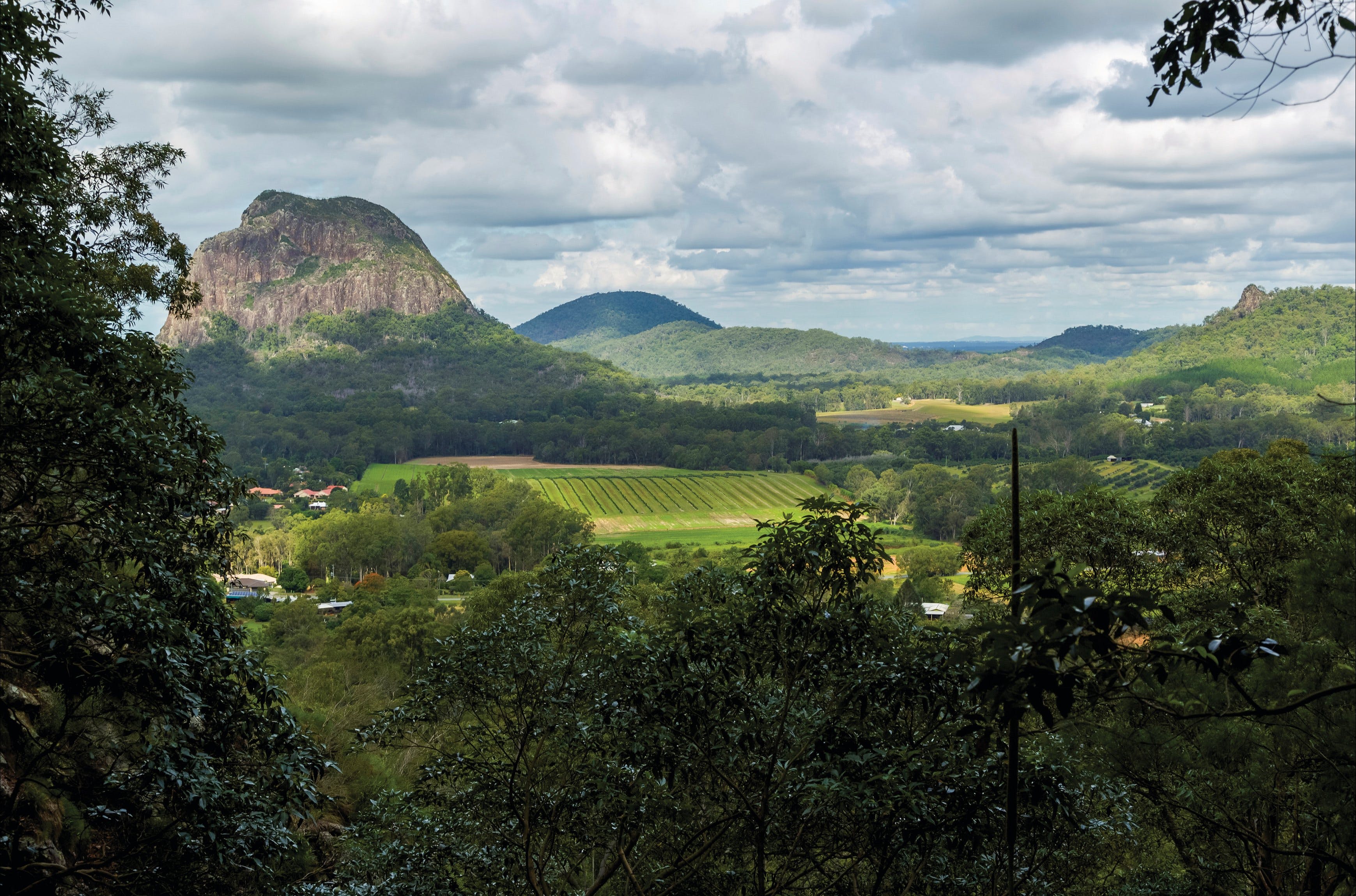 Glass House Mountains National Park - thumb 2