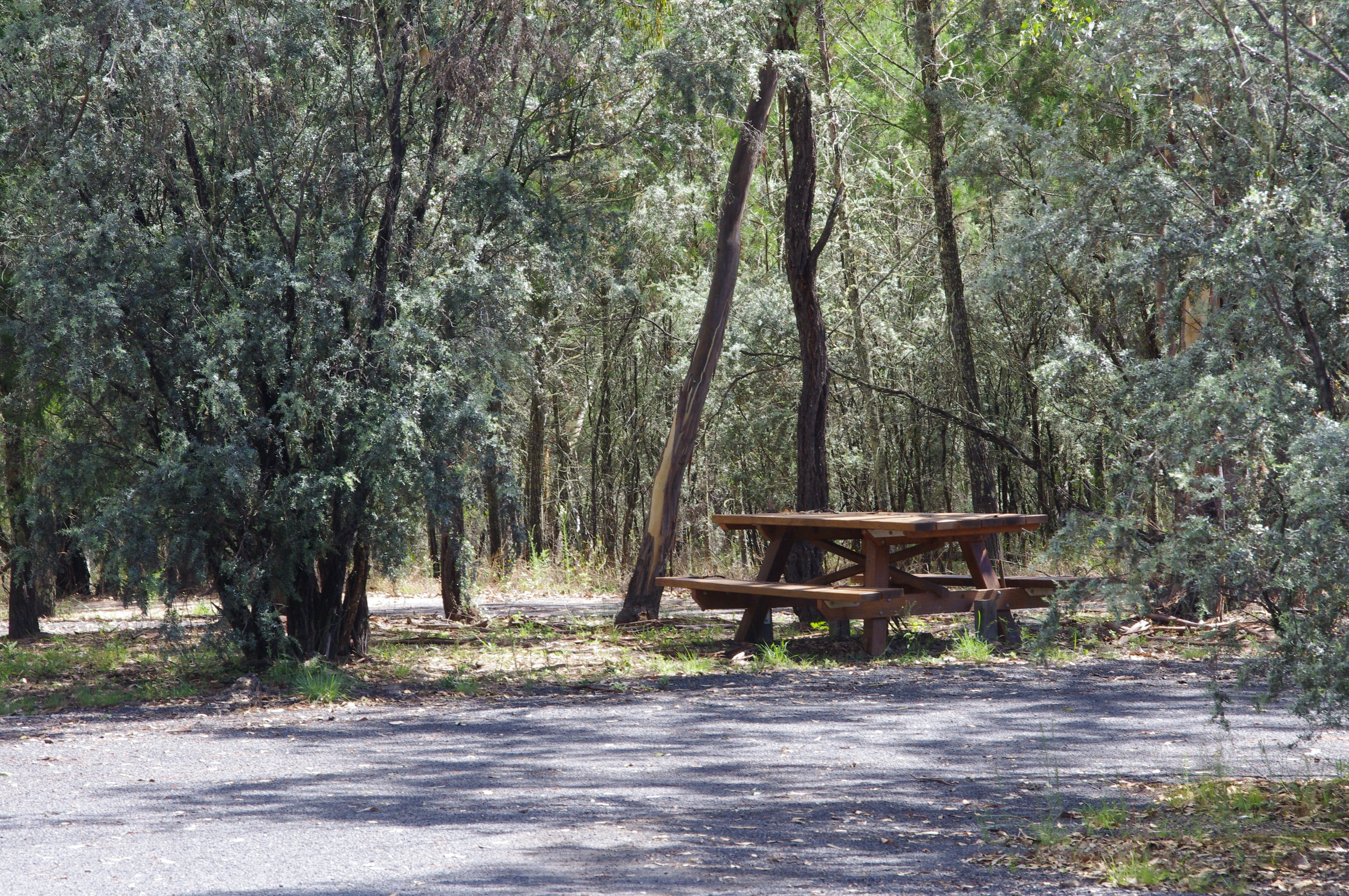 Goonoowigall State Conservation Area - Attractions Melbourne