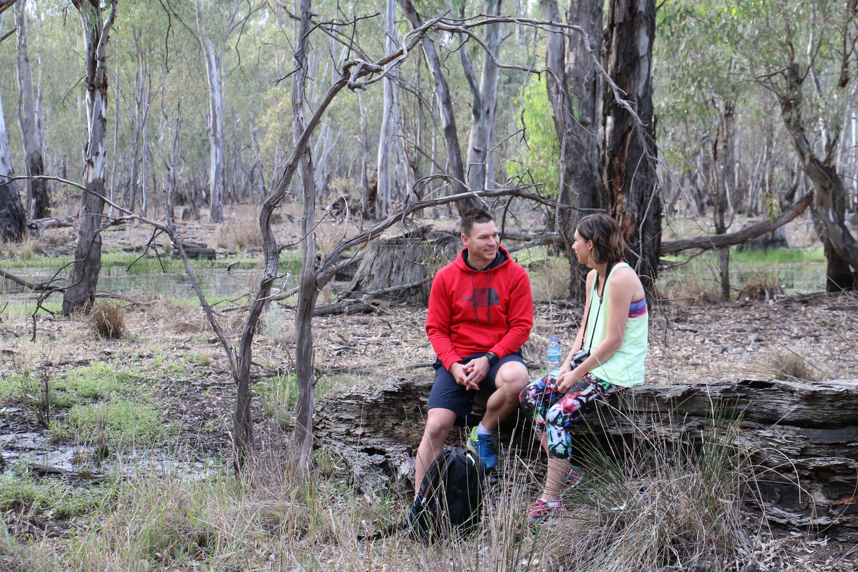 Gunbower Island Forest Drive - New South Wales Tourism 