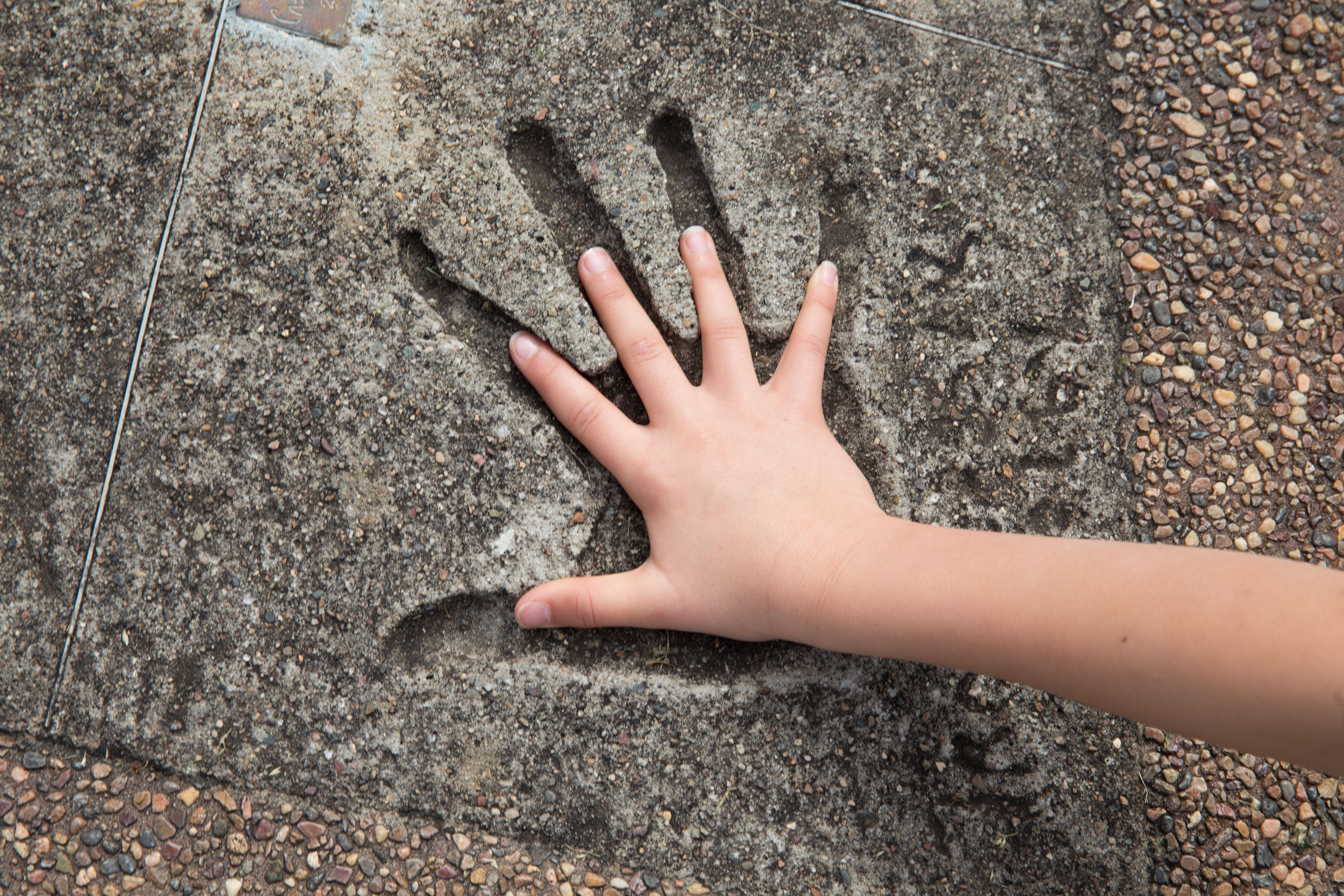 Hands of Fame Park - New South Wales Tourism 