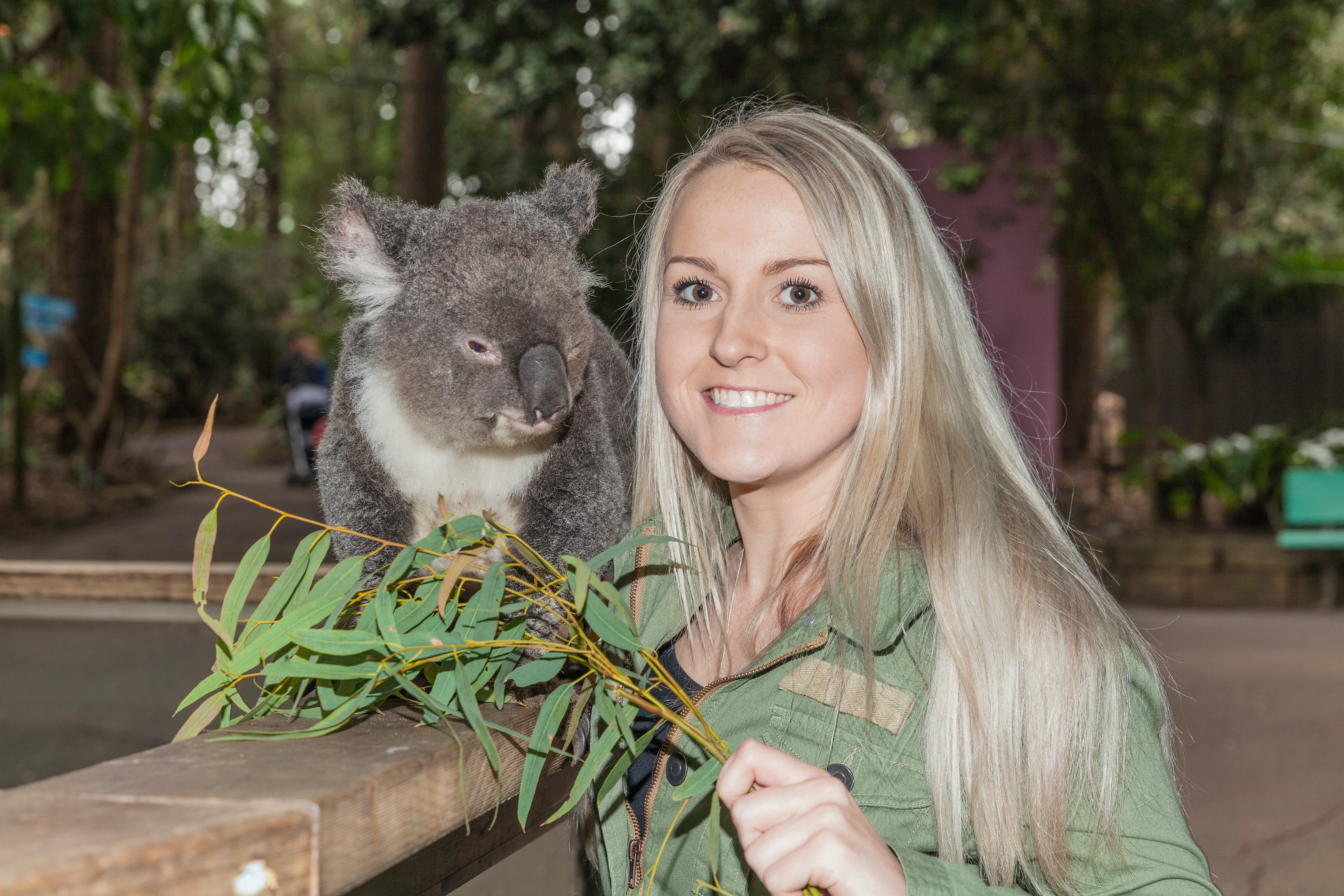 Koala Park Sanctuary - Tweed Heads Accommodation
