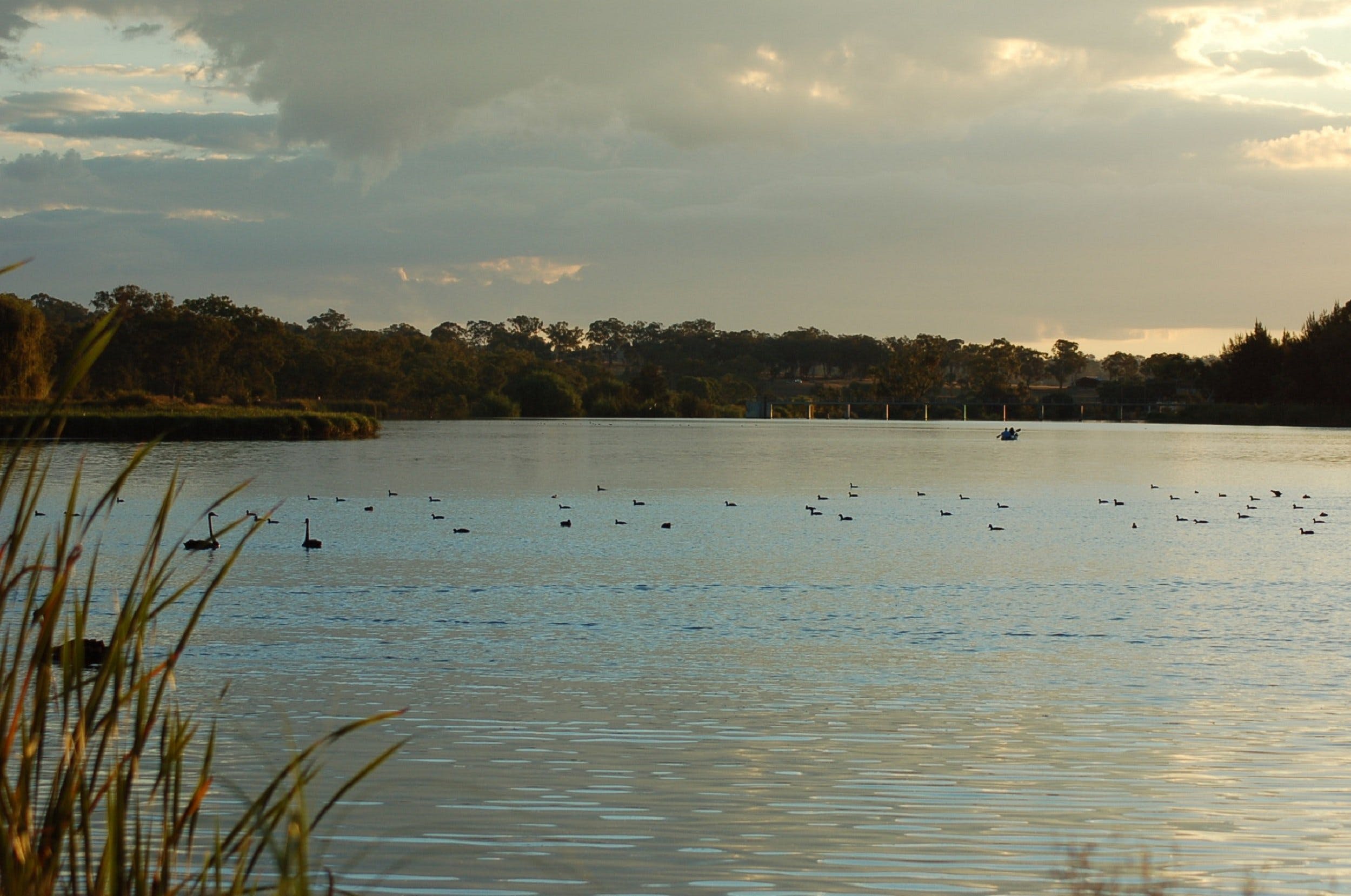 Lake Inverell Reserve - Attractions