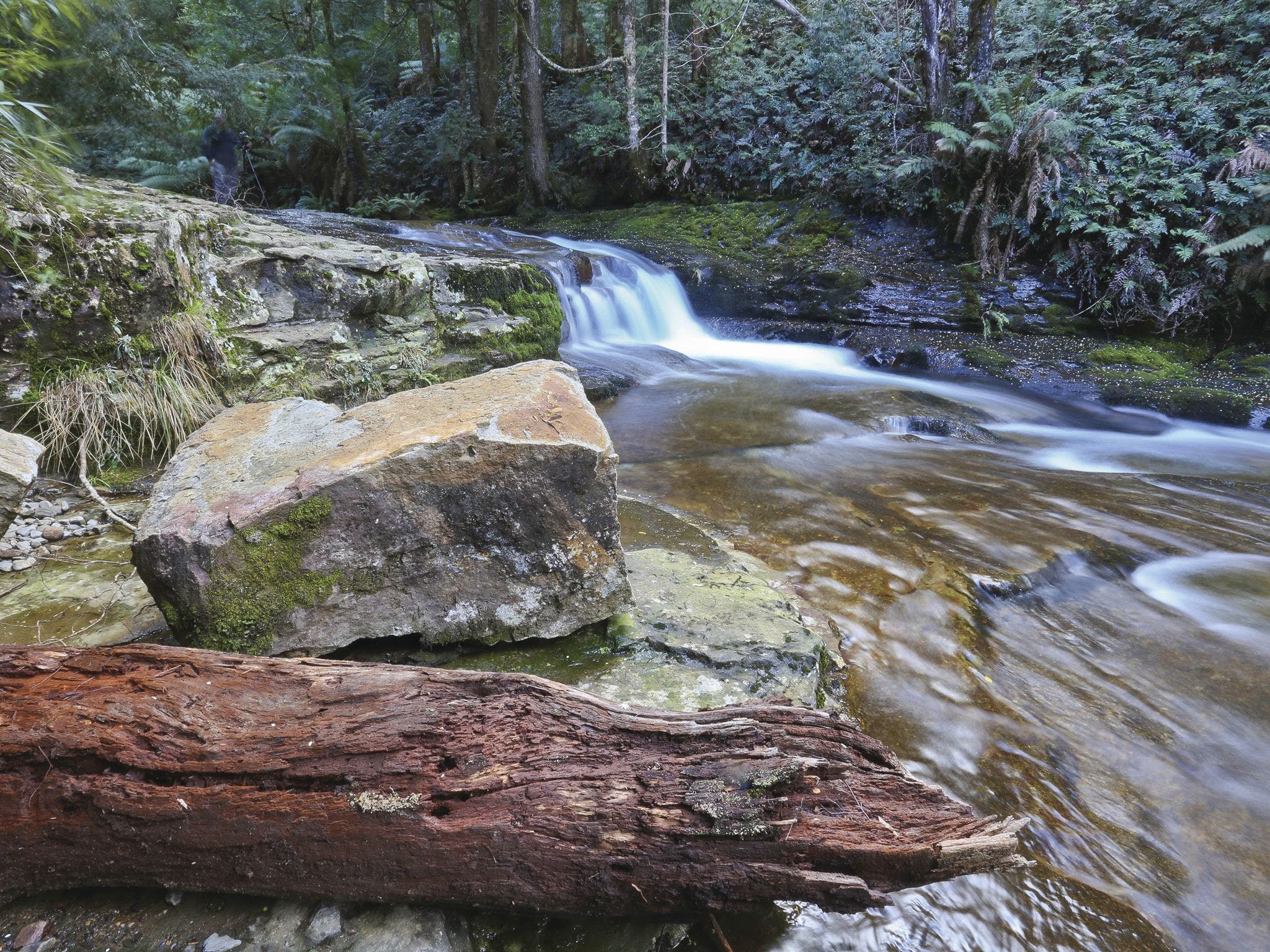 Liffey Falls Reserve - Attractions Melbourne