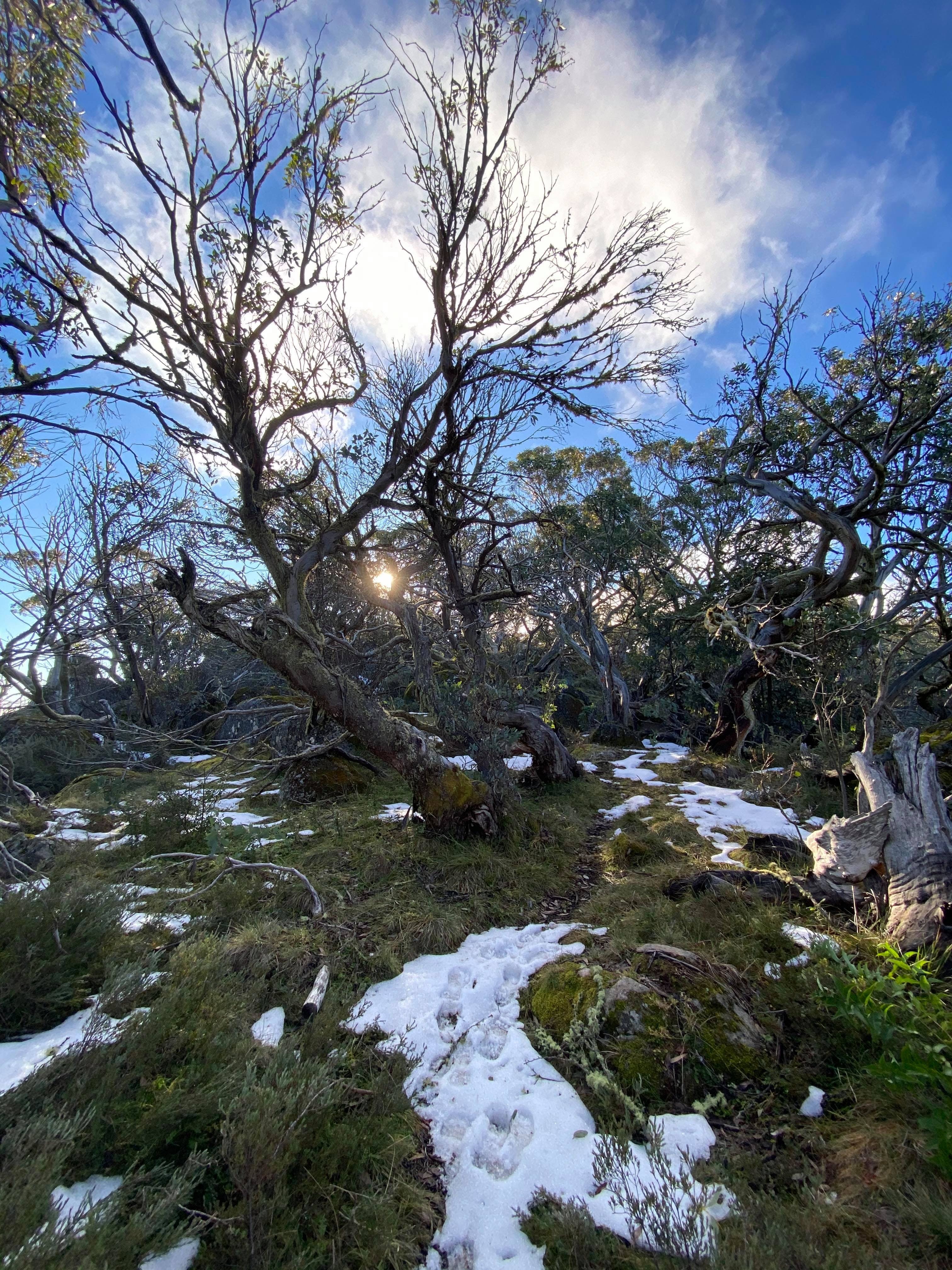 Mount Torbreck Summit Walk - Accommodation Adelaide