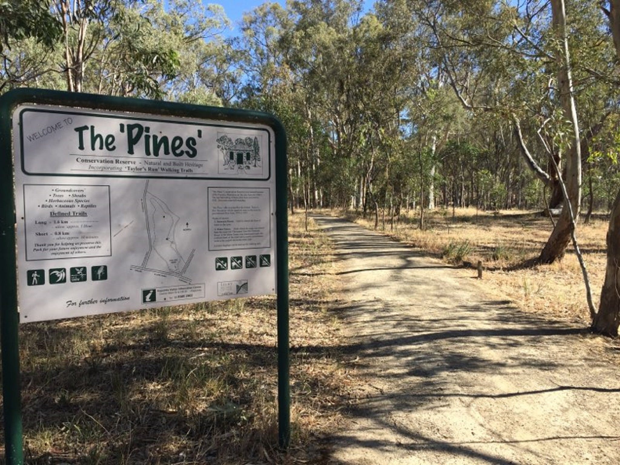 The Pines Conservation Reserve - Attractions