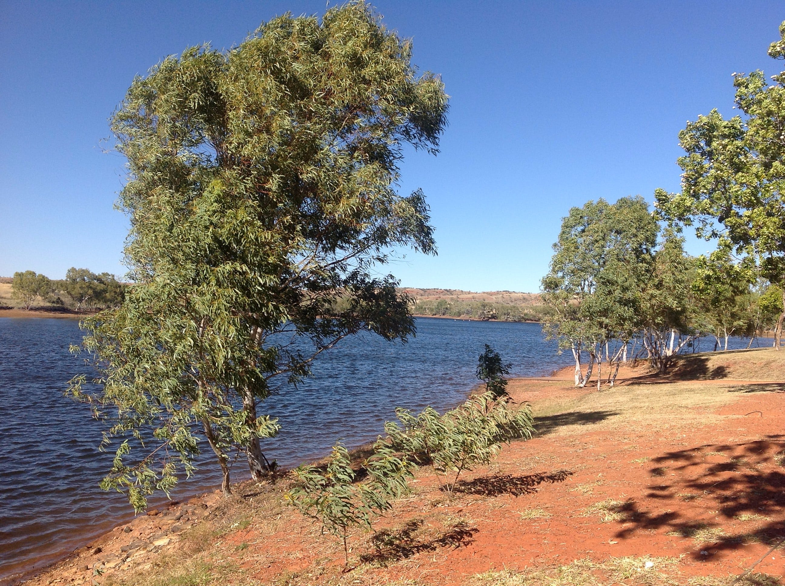 Tingkkarli/Lake Mary Ann - Tourism Canberra