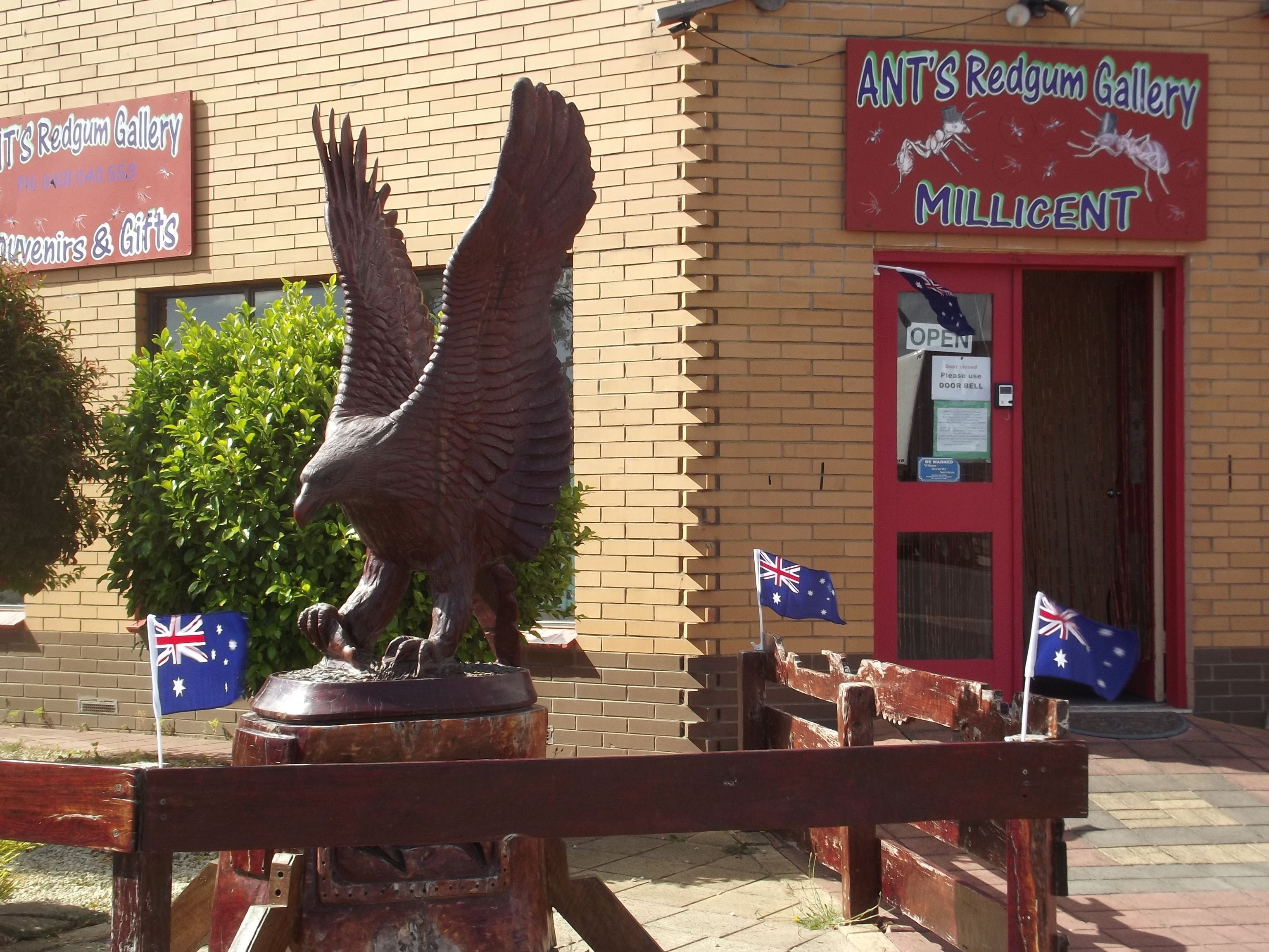 Ant's Redgum Gallery - Attractions