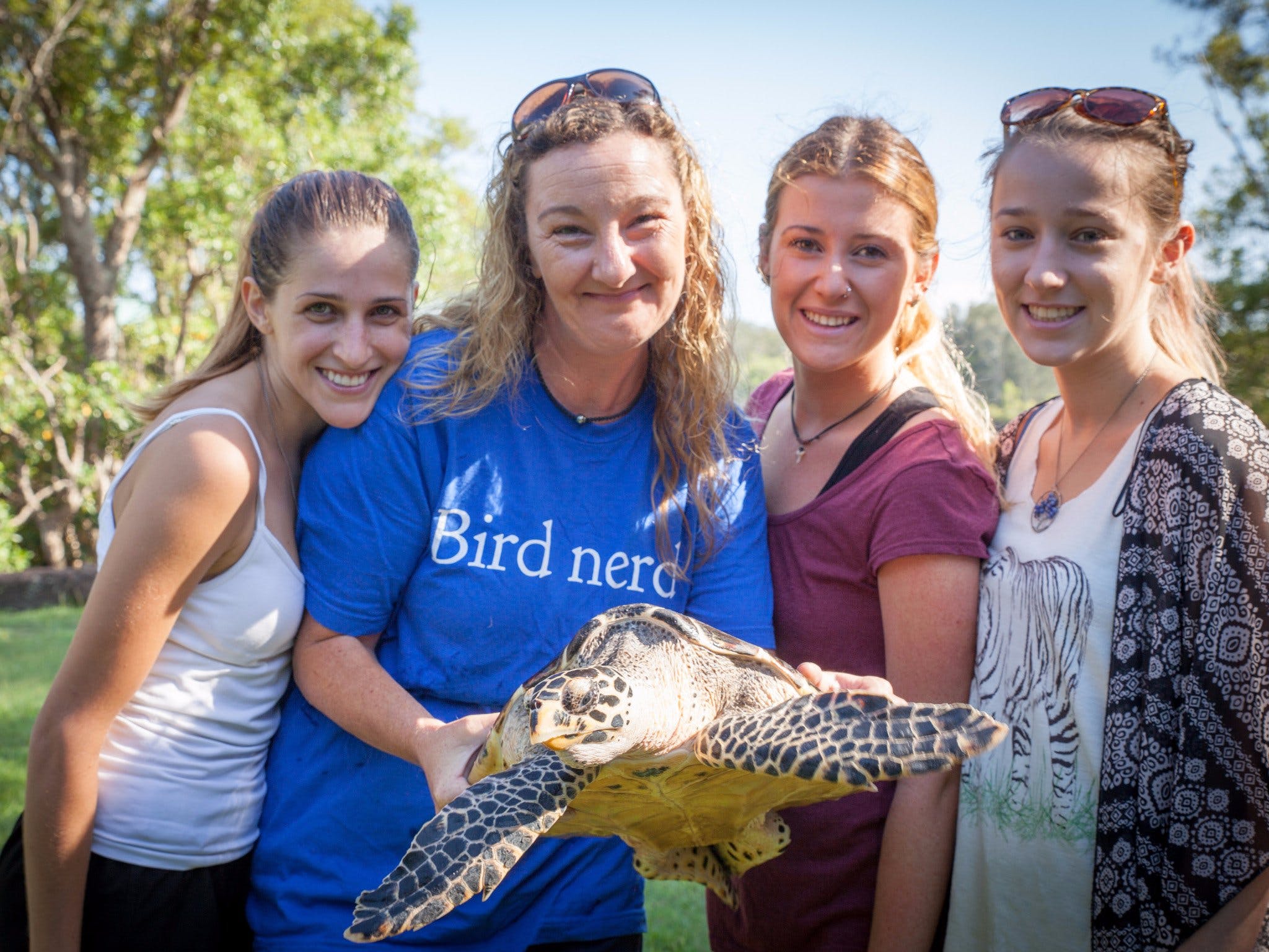 Australian Seabird Rescue - New South Wales Tourism 