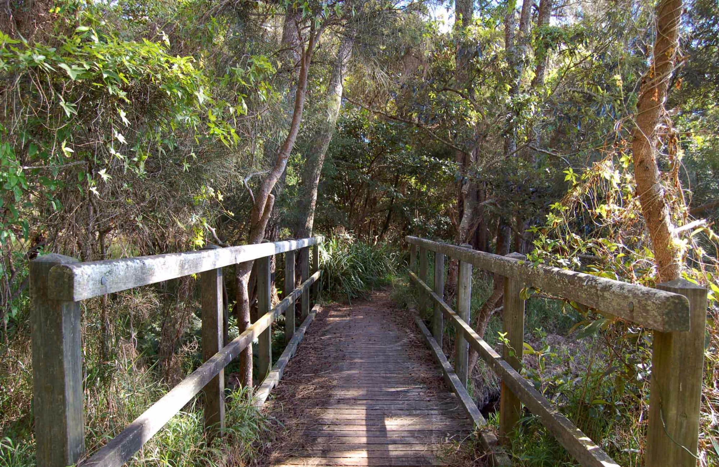 Awaba Bay Foreshore Walk - New South Wales Tourism 