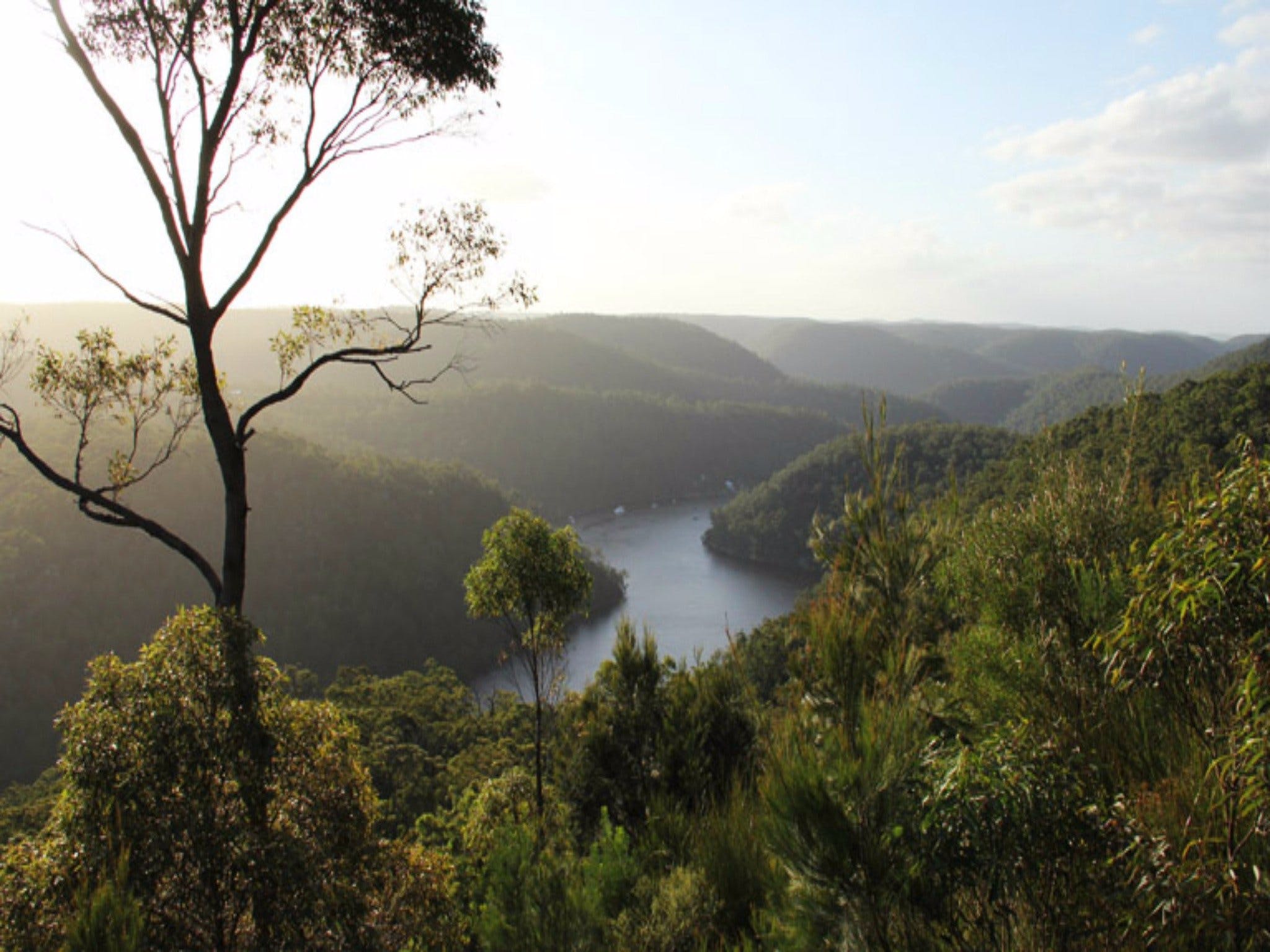 Berowra Valley National Park - Tourism Canberra