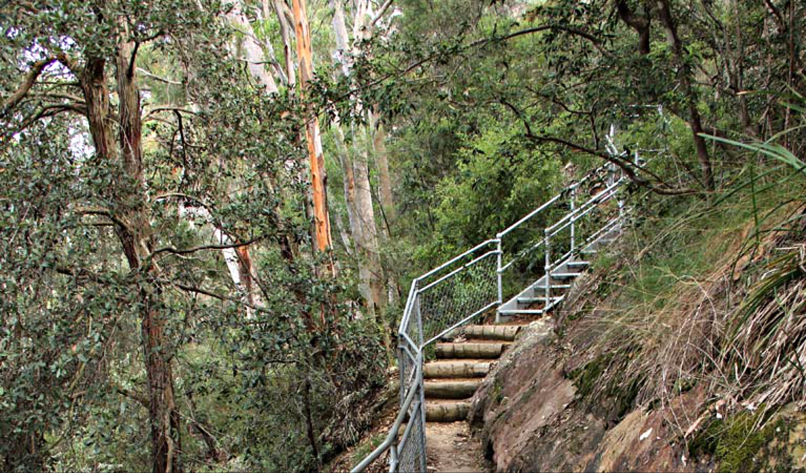 Caleys Lookout Track - Attractions