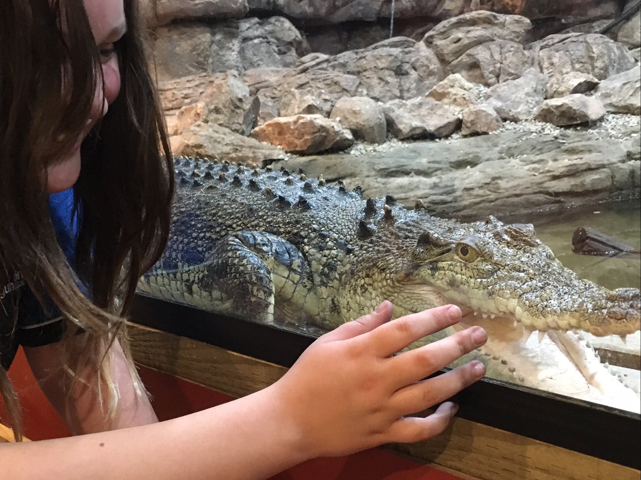 Canberra Reptile Zoo - Accommodation Brunswick Heads