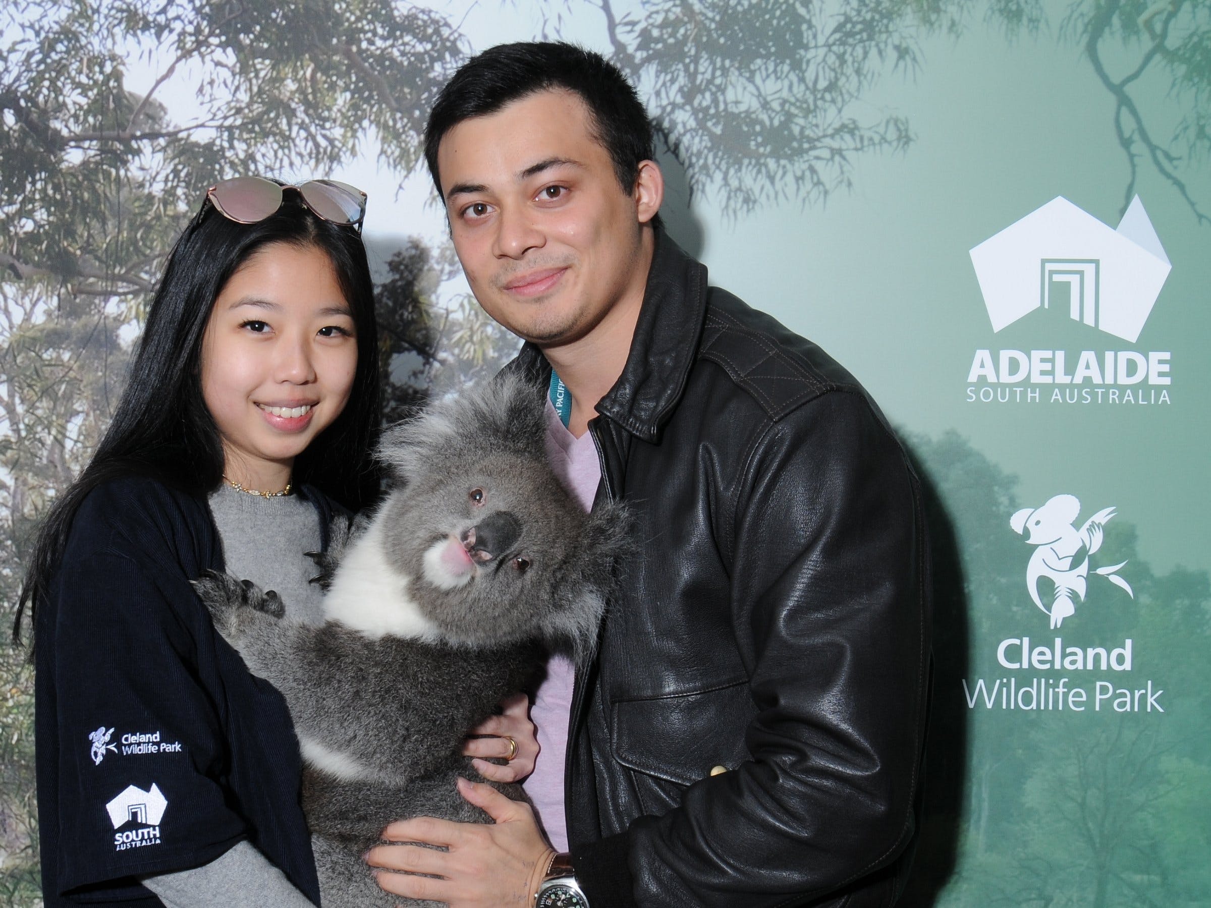 Cleland Wildlife Park - Koala Hold - Find Attractions