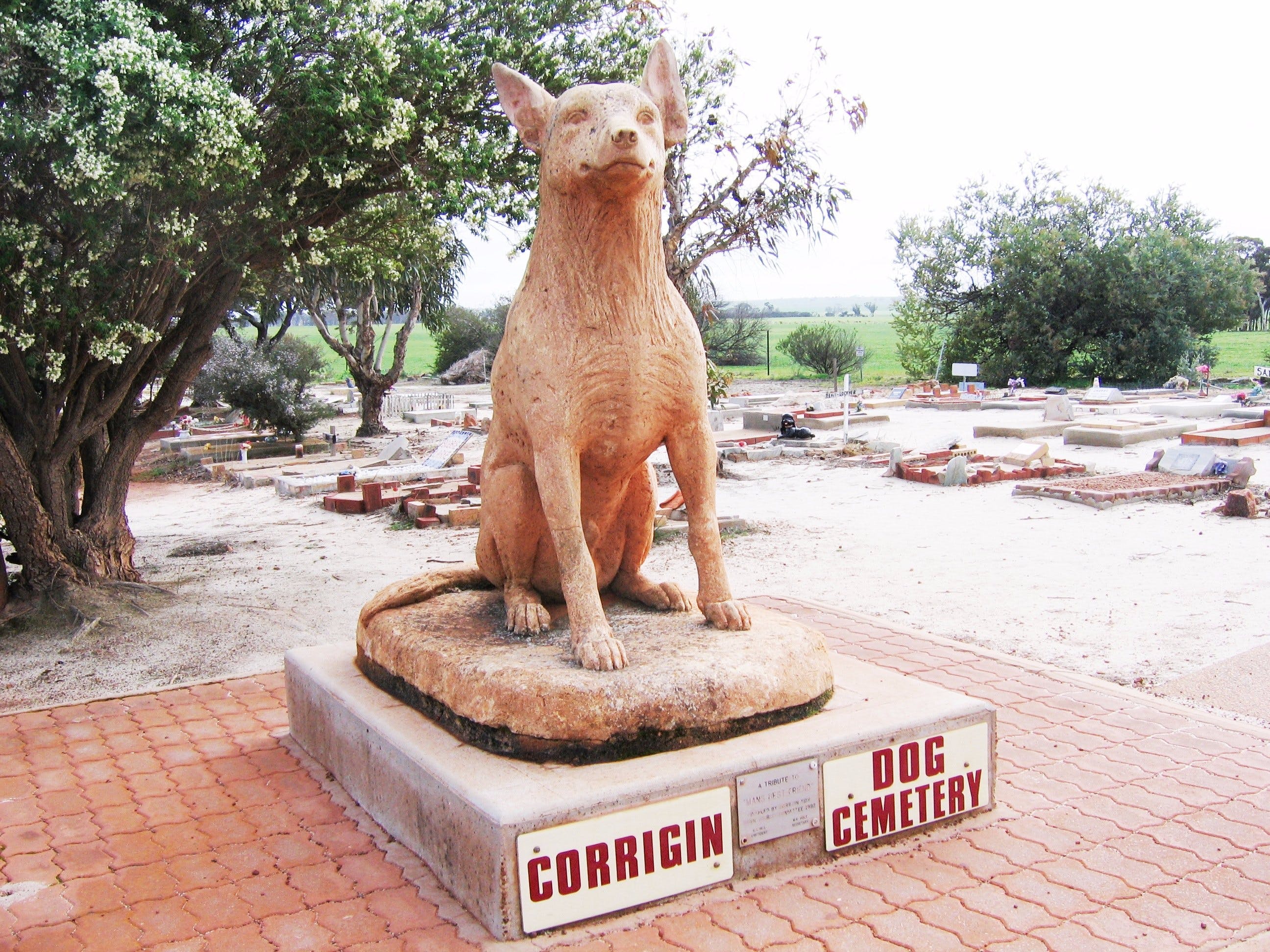 Corrigin Dog Cemetery - thumb 0
