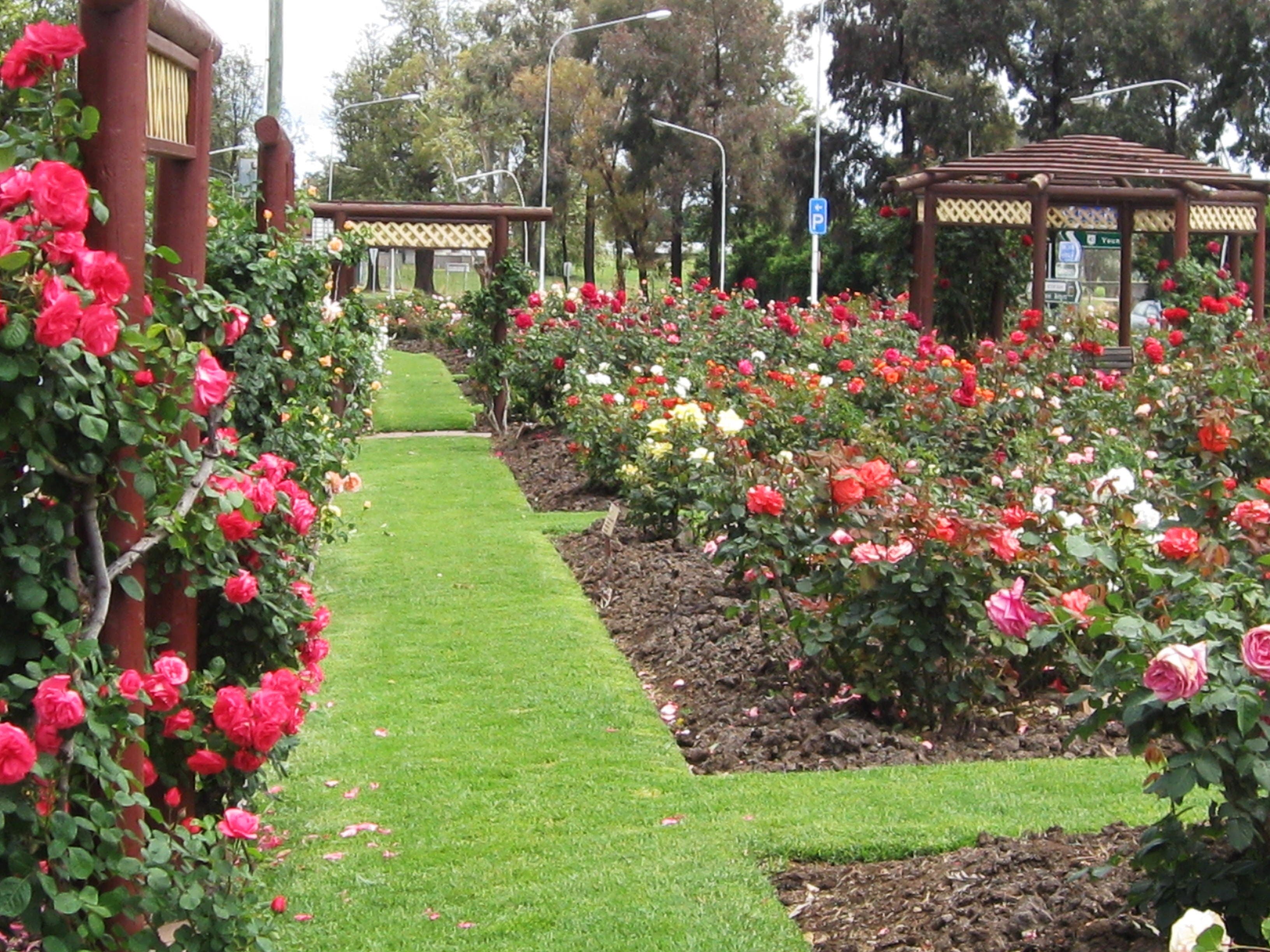 Cowra Rose Garden - Wagga Wagga Accommodation