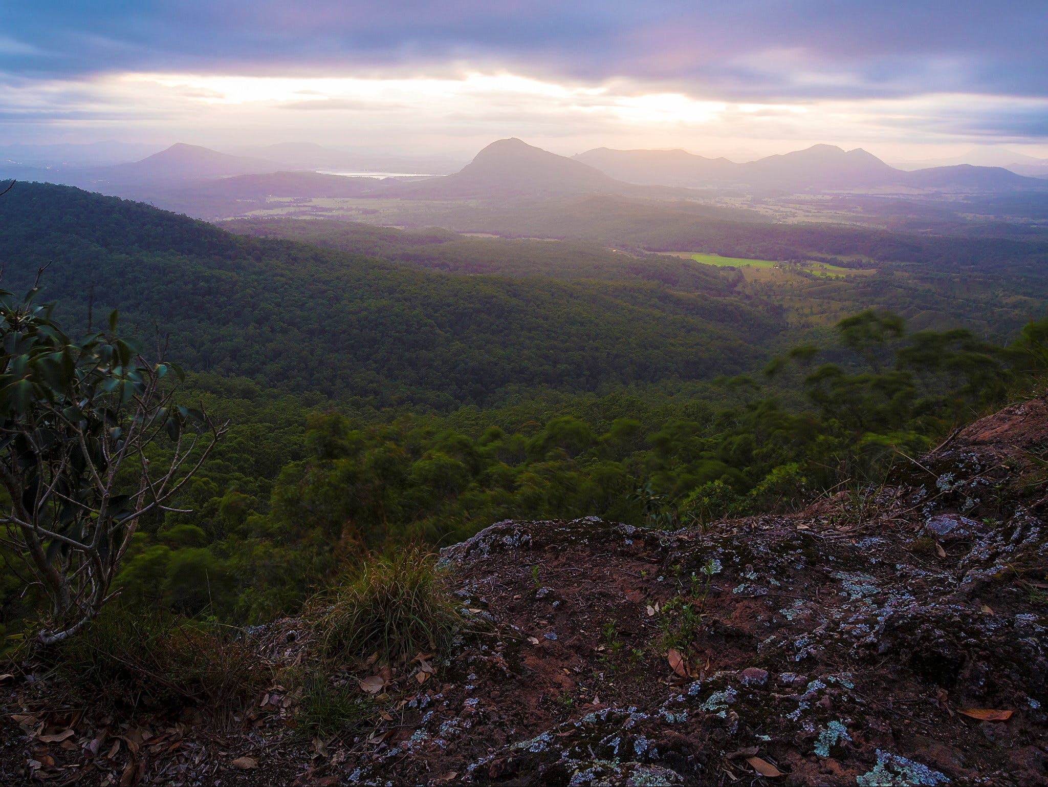 Cunninghams Gap and Spicers Gap Main Range National Park - Redcliffe Tourism