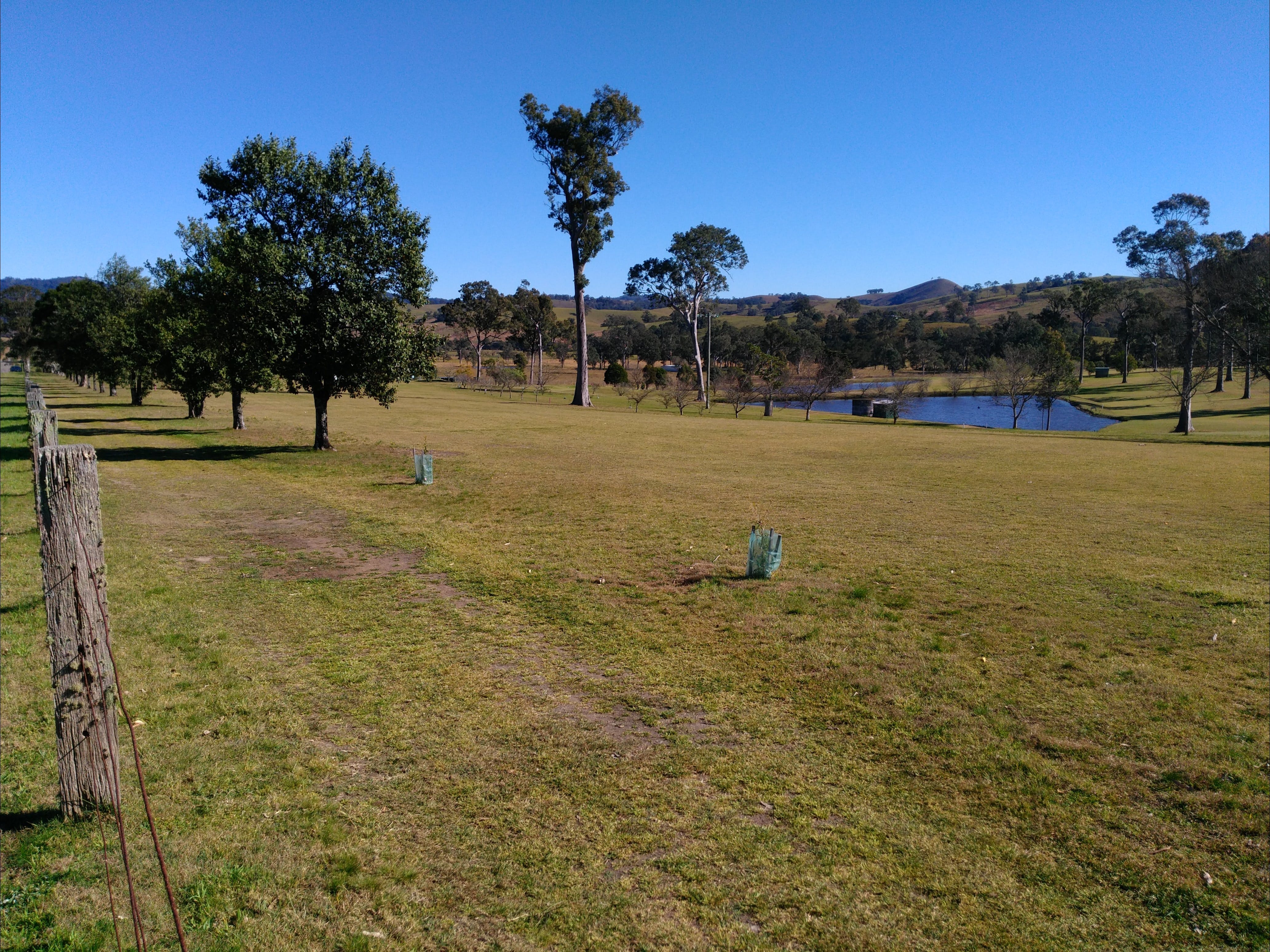 Dungog and District Golf Club - Accommodation Gladstone