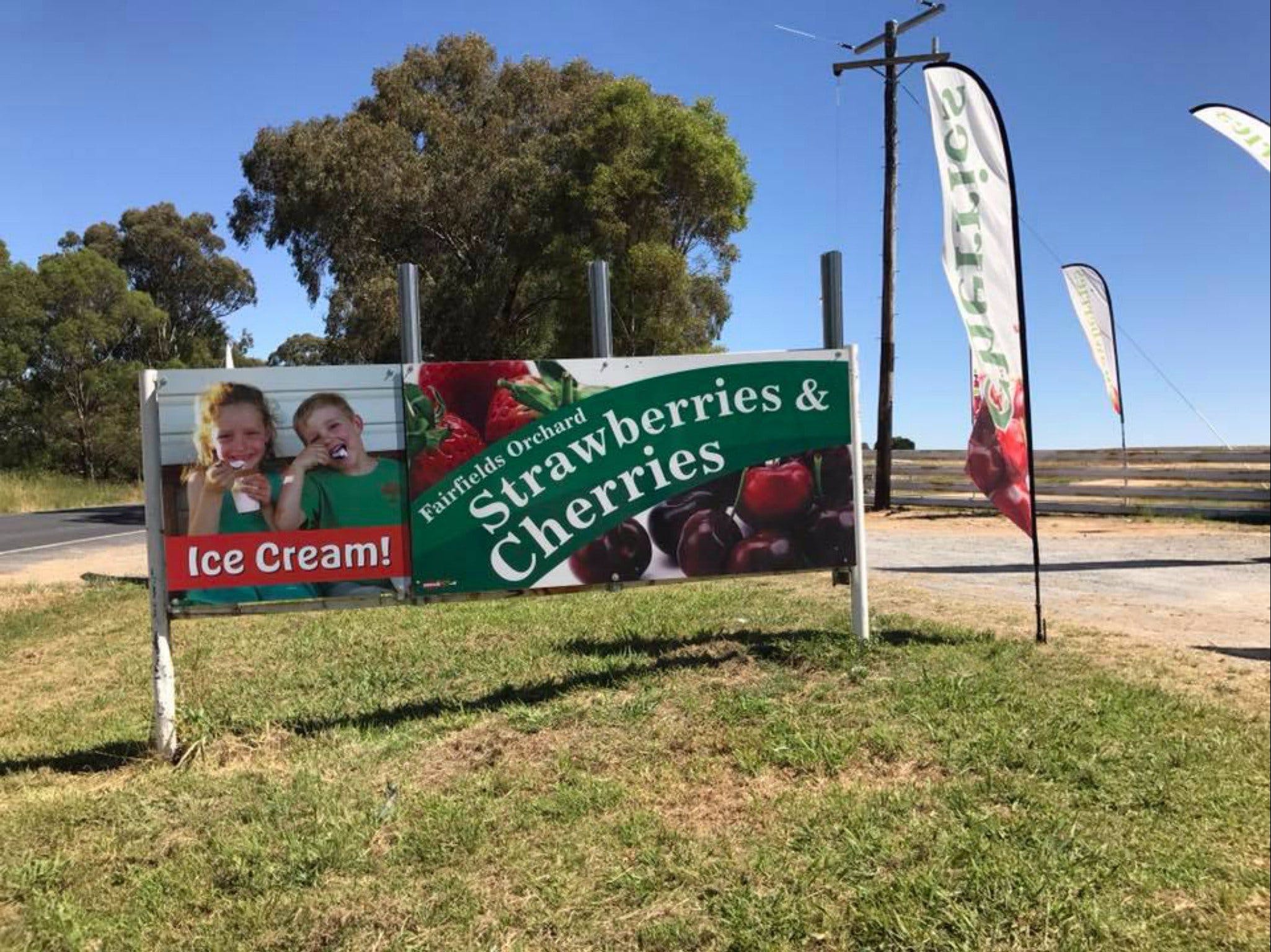 Fairfield Orchard - Broome Tourism