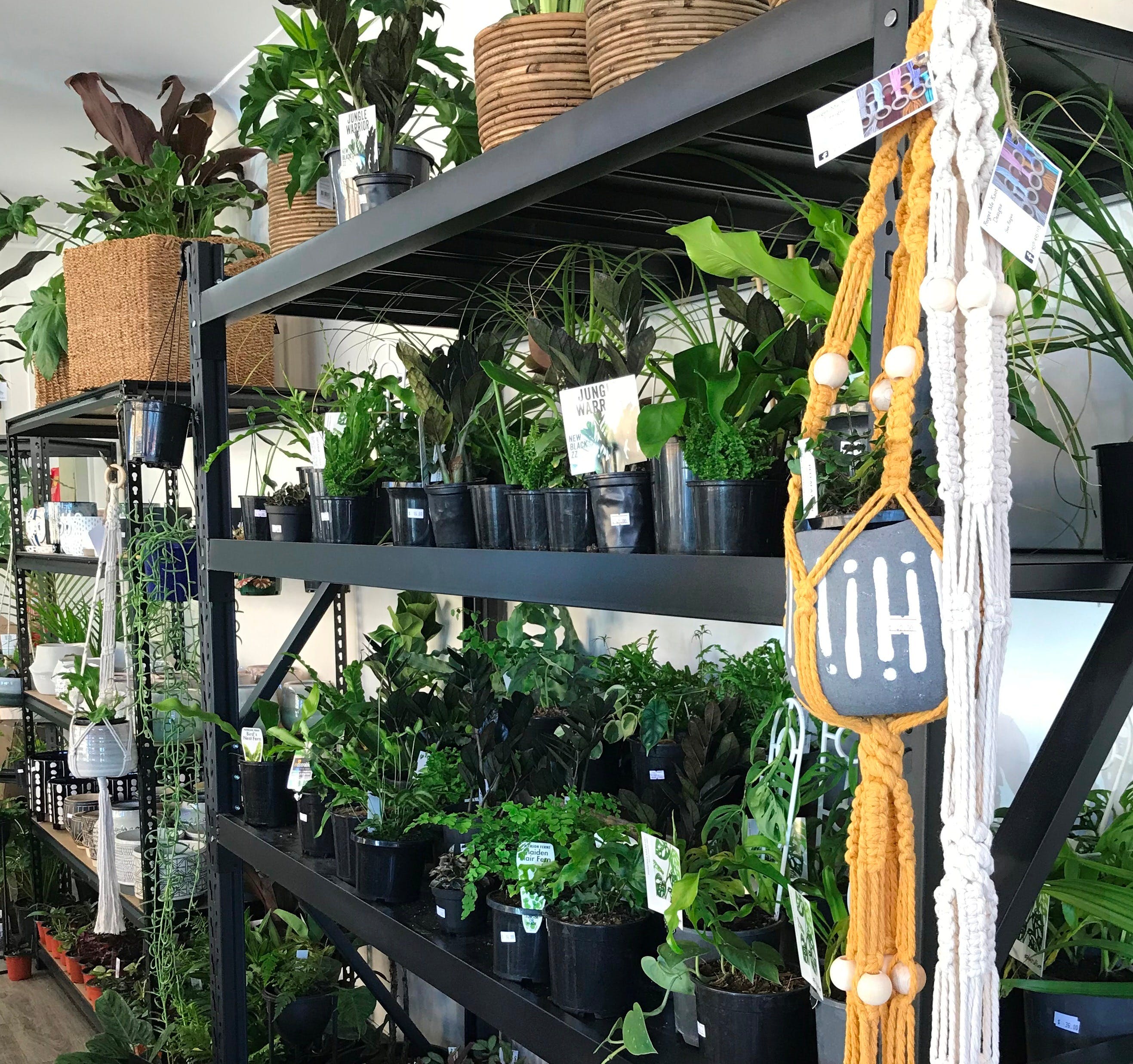 Fancy Plants - Accommodation in Bendigo